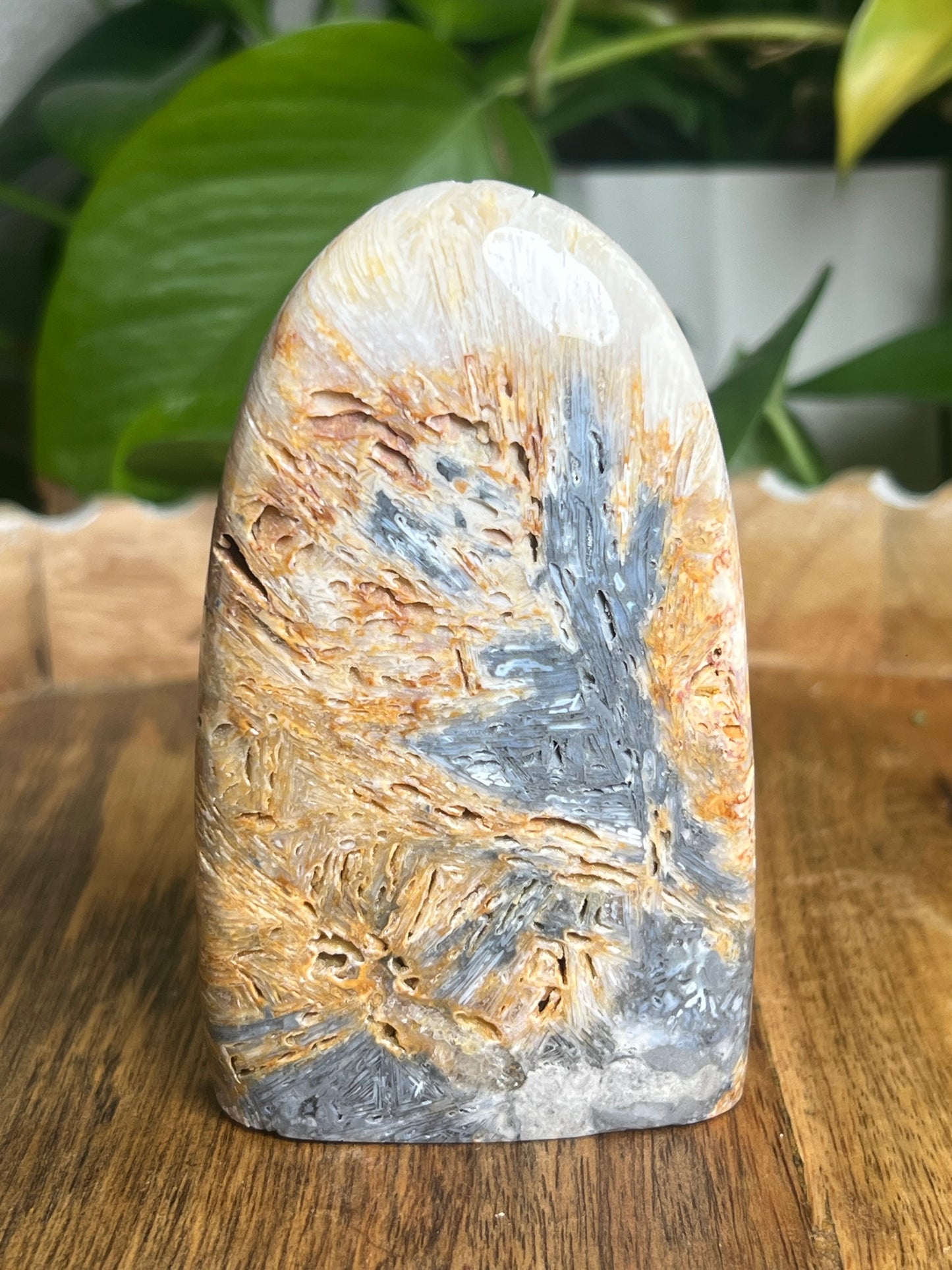Tube Agate Freeform PC