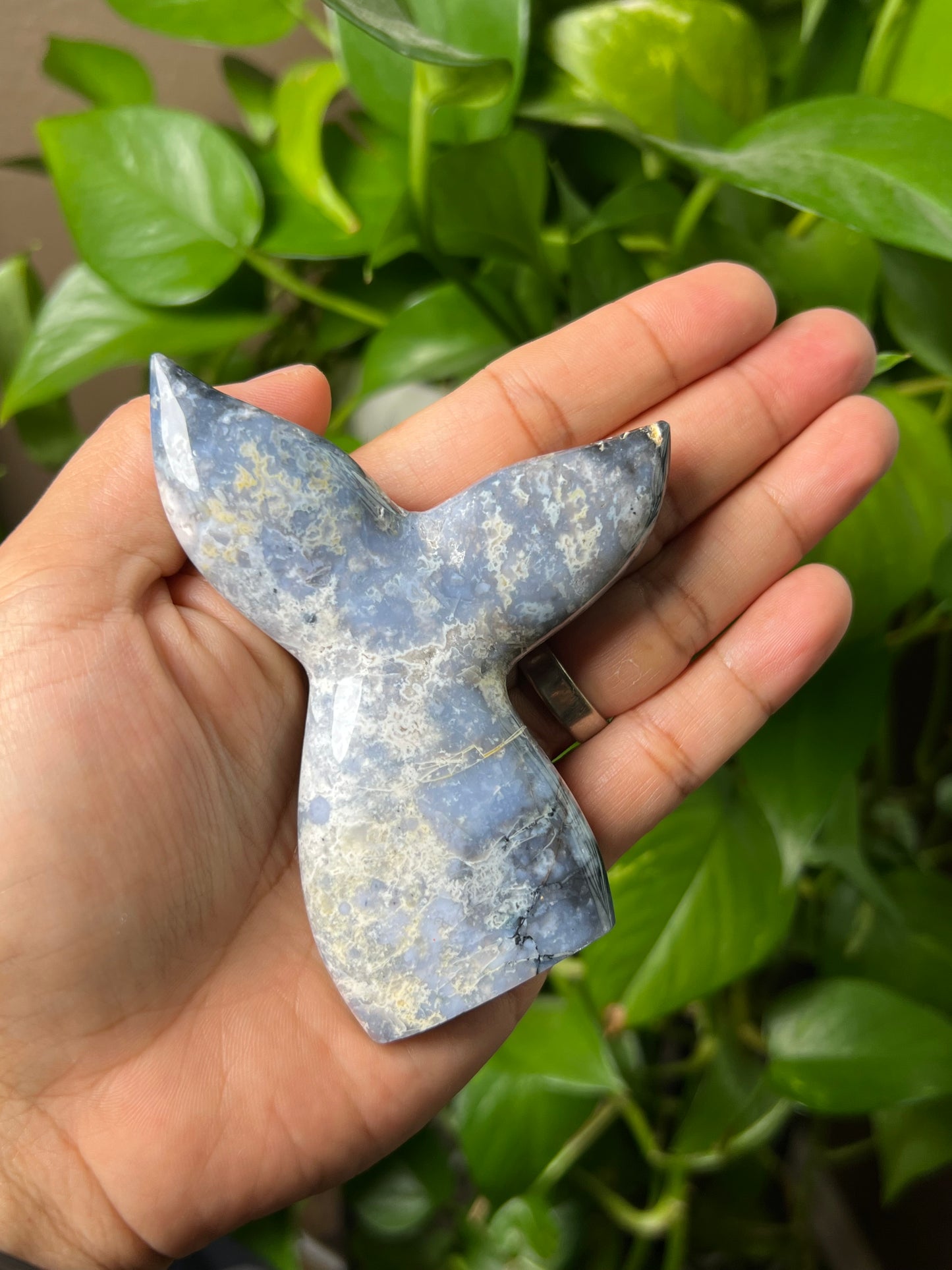 Blue Plume Agate Tail