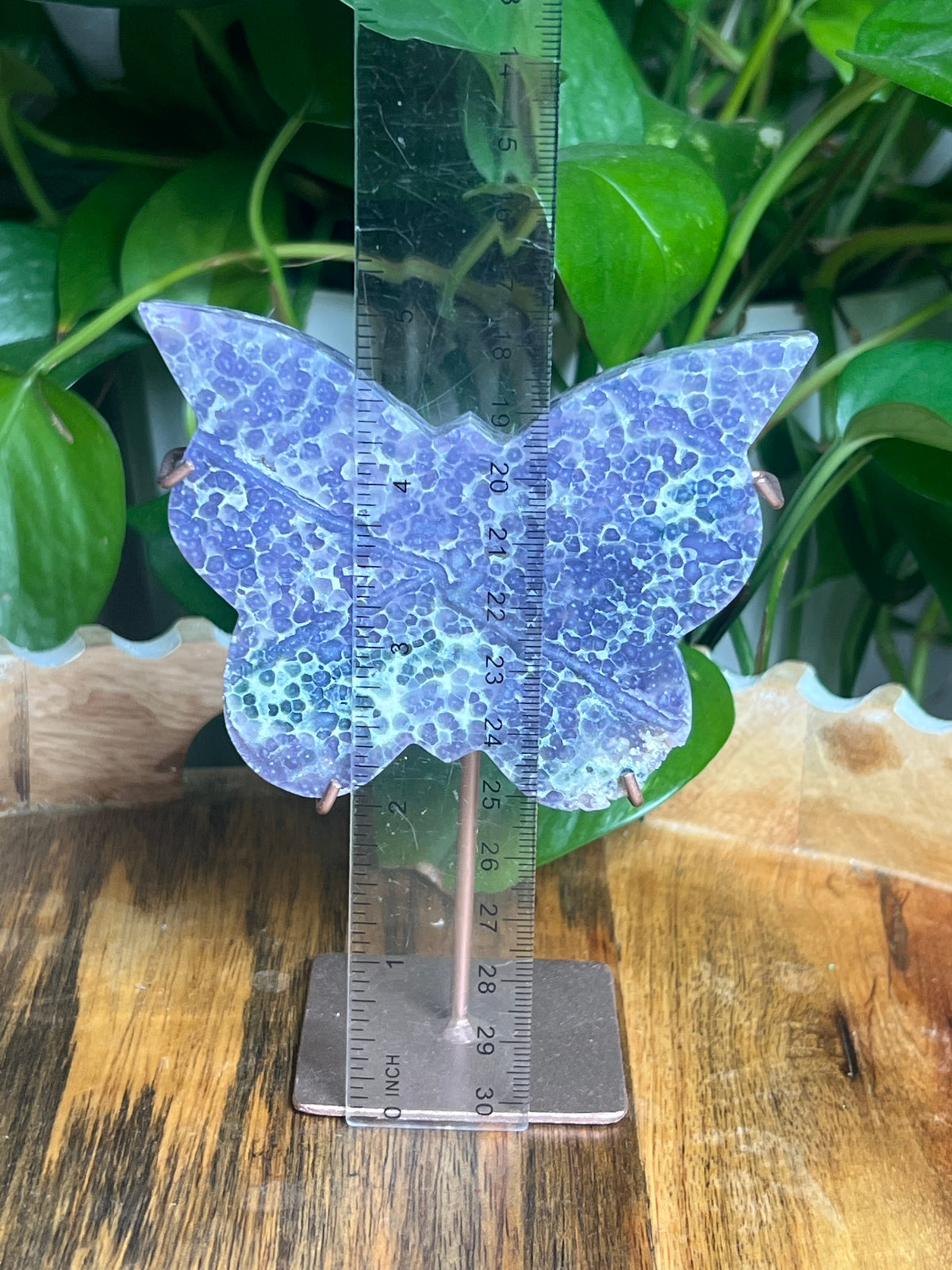Grape Agate Butterfly: AZ