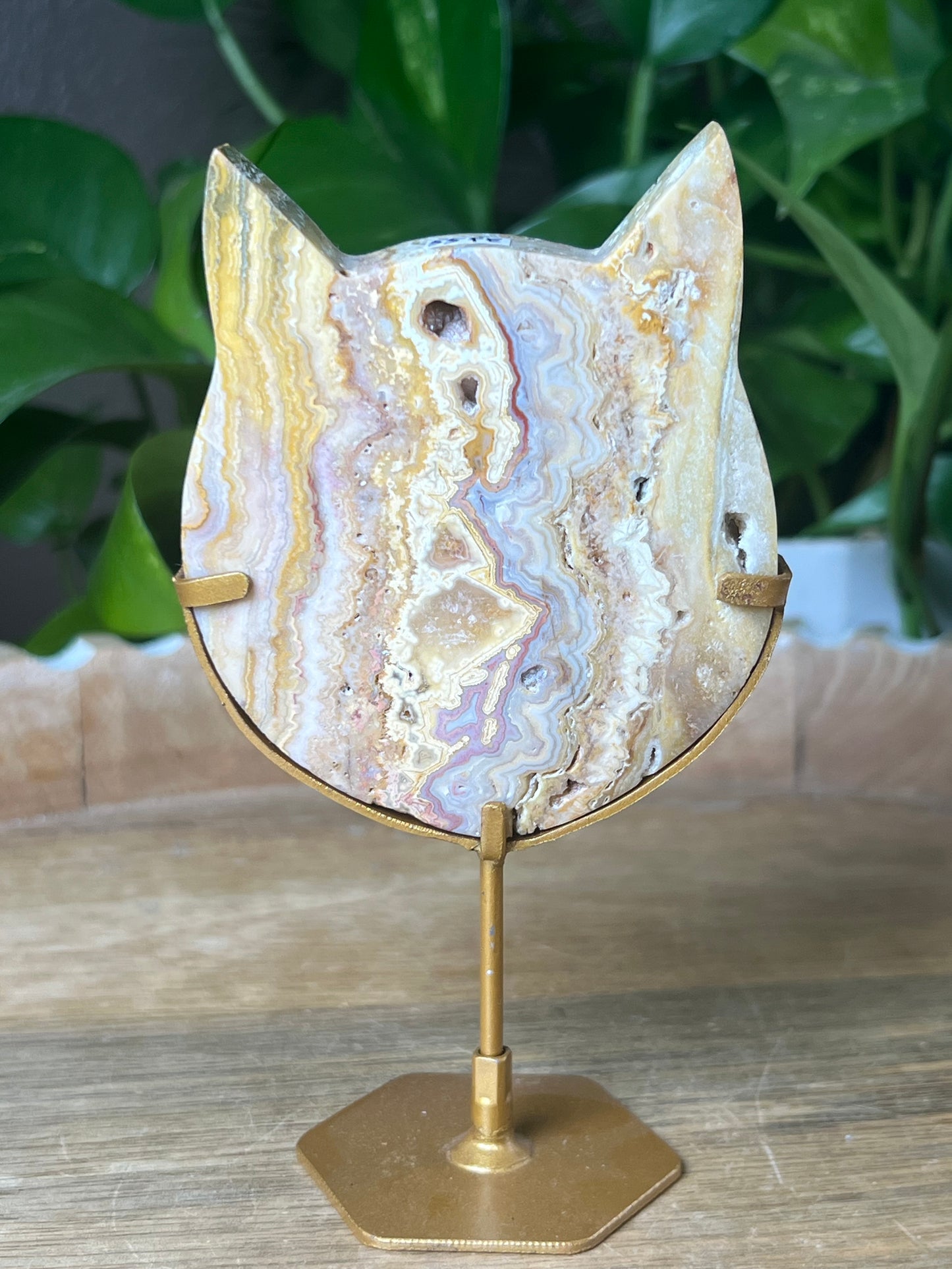 Crazy Lace Agate Cat