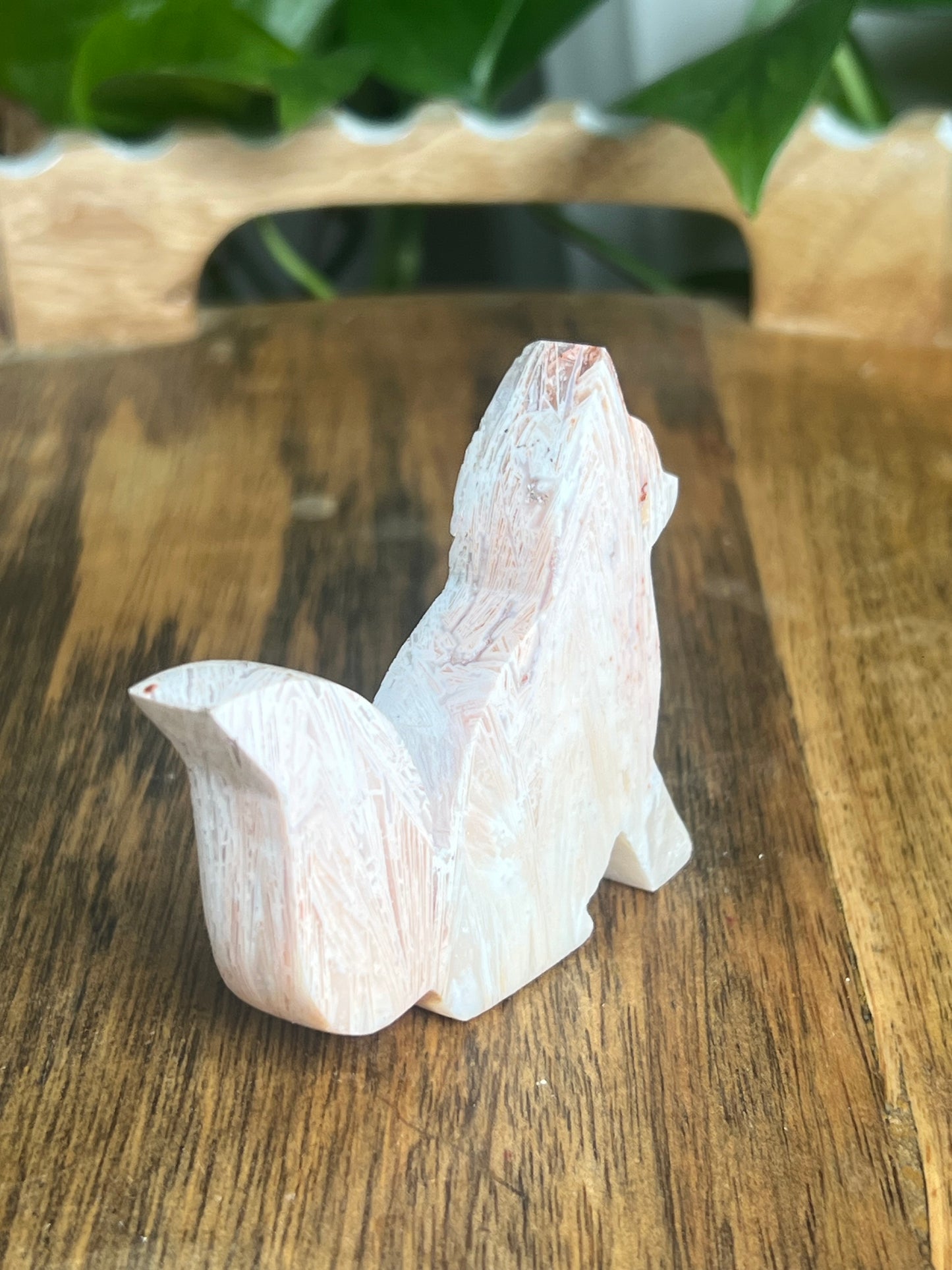 Tube Agate Fox BD