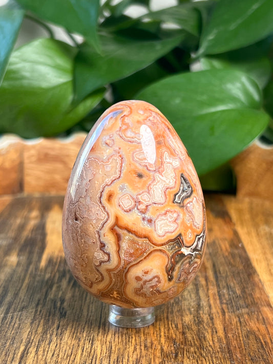 Crazy Lace Agate Egg: EQ