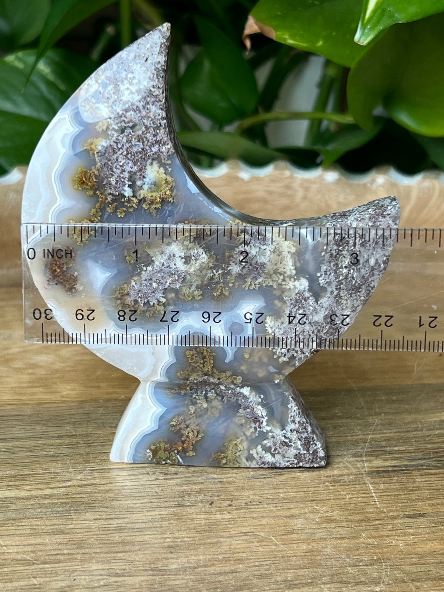 Scenic Moss Agate Moon Stand: XE