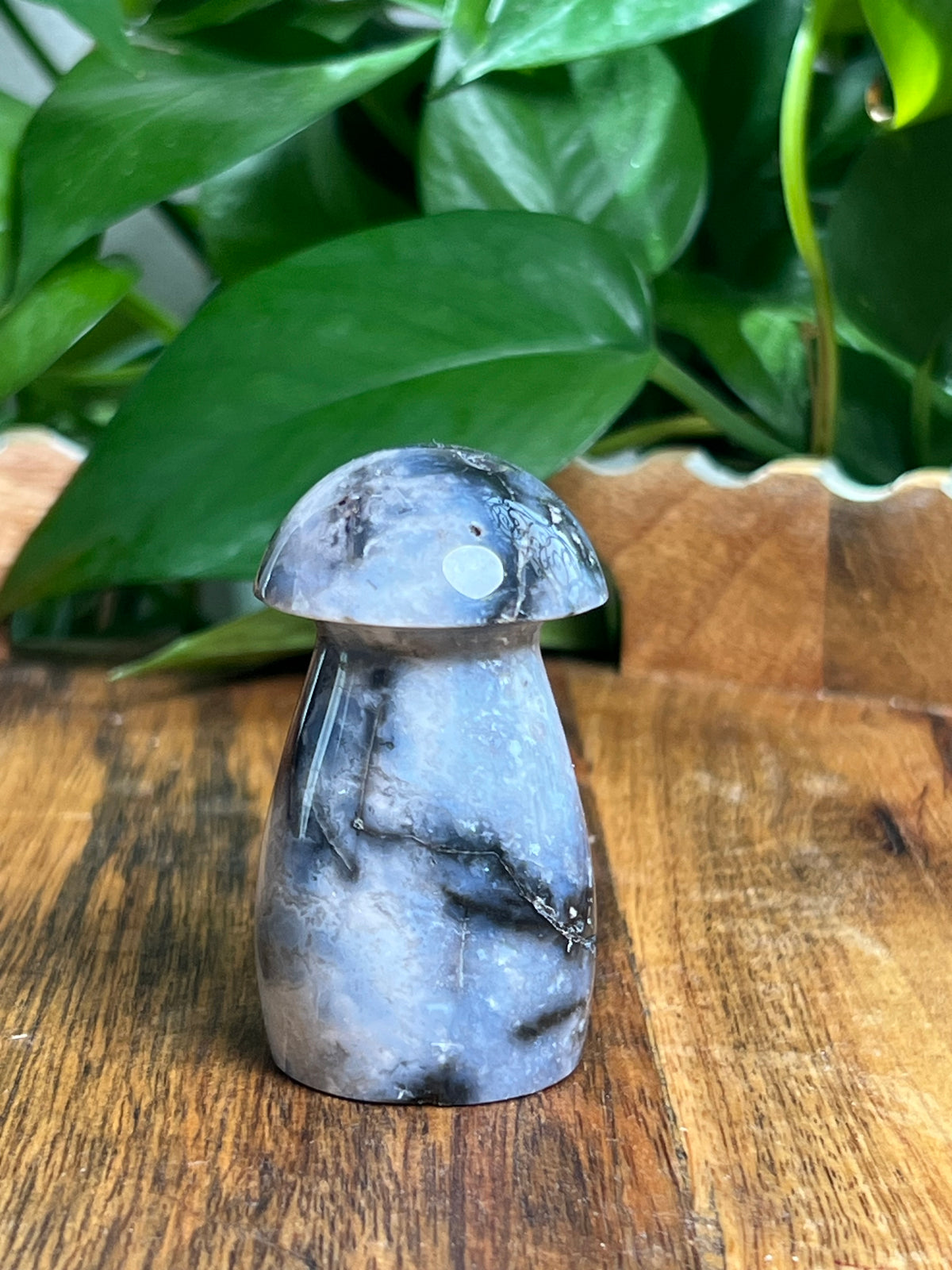 Blue Plume Agate Mushroom: EK