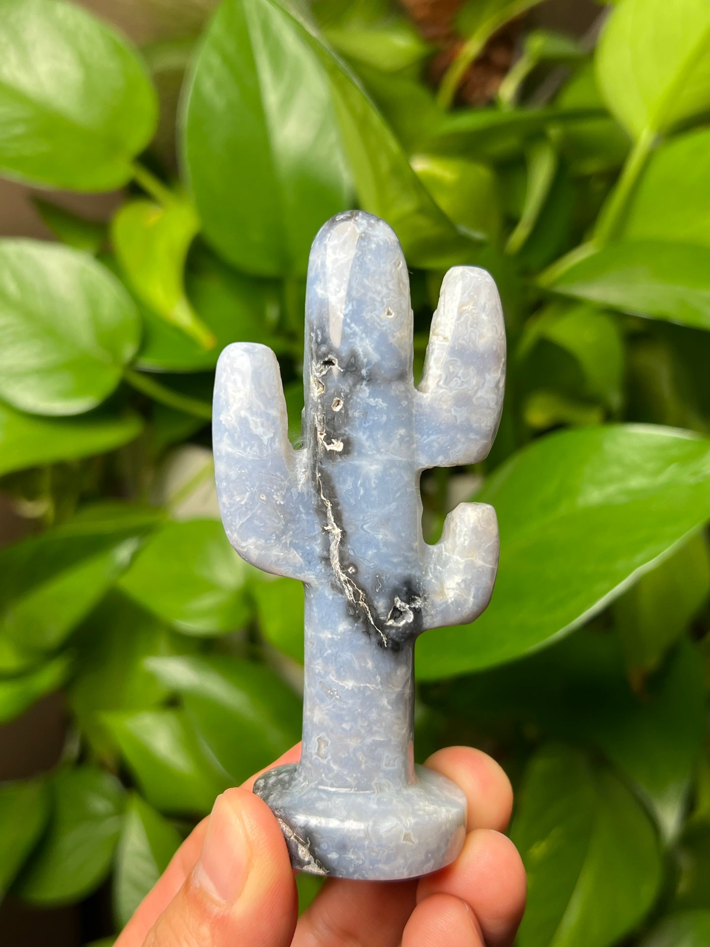 Blue Plume Agate Cactus