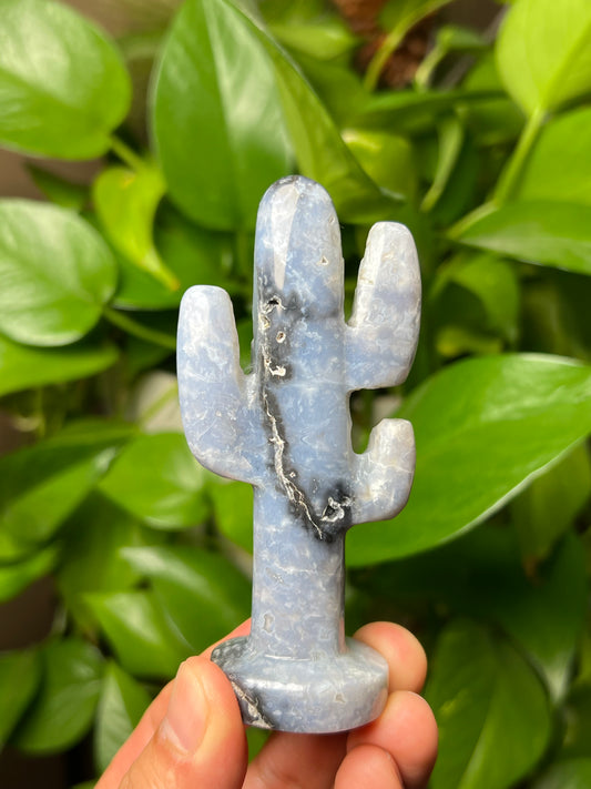 Blue Plume Agate Cactus