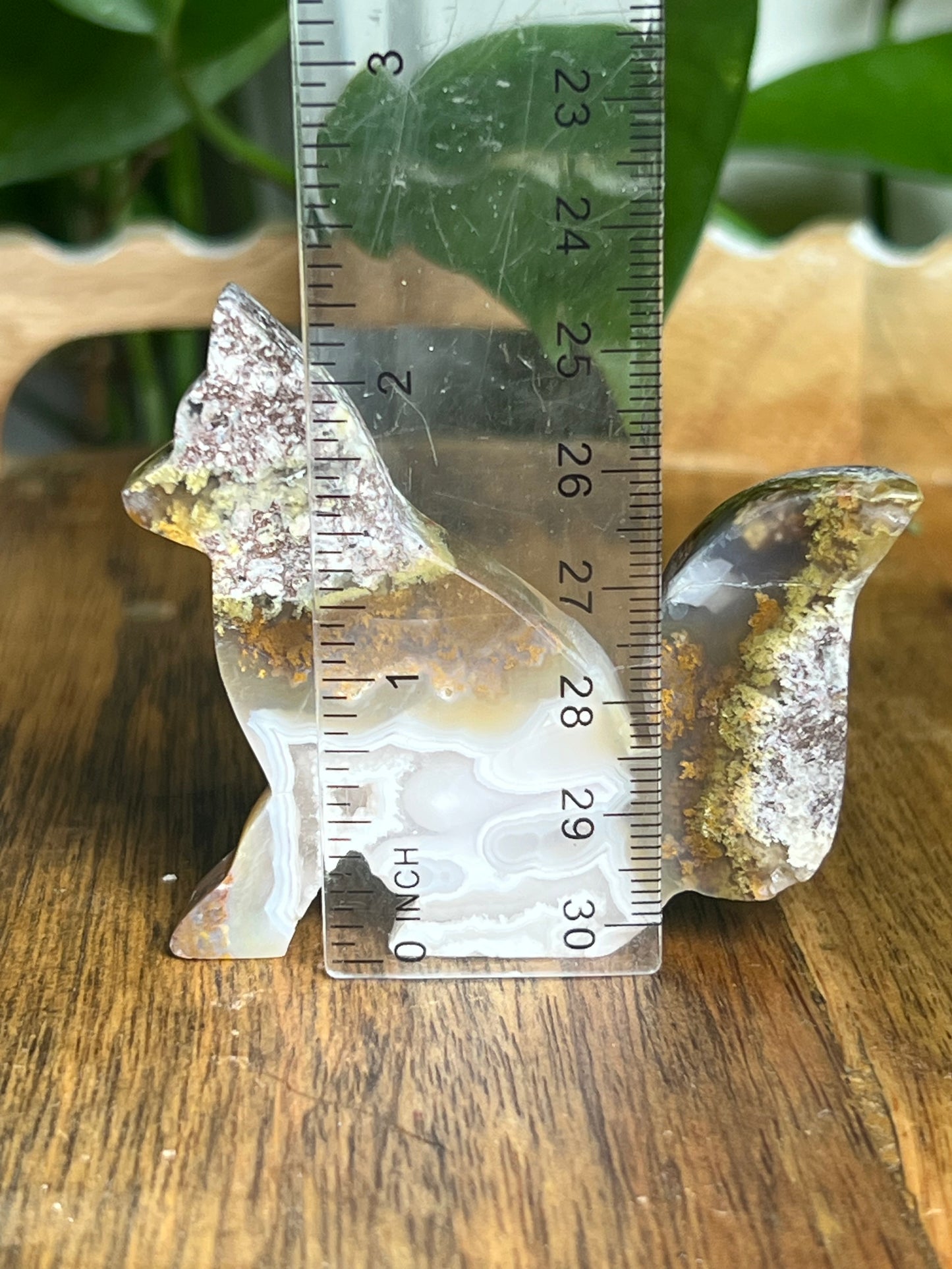 Scenic Moss Agate Fox PX