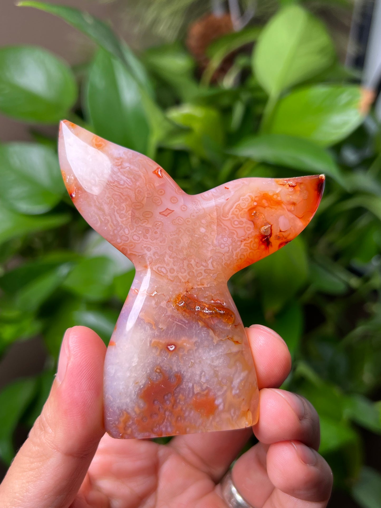 Red Carnelian Tail