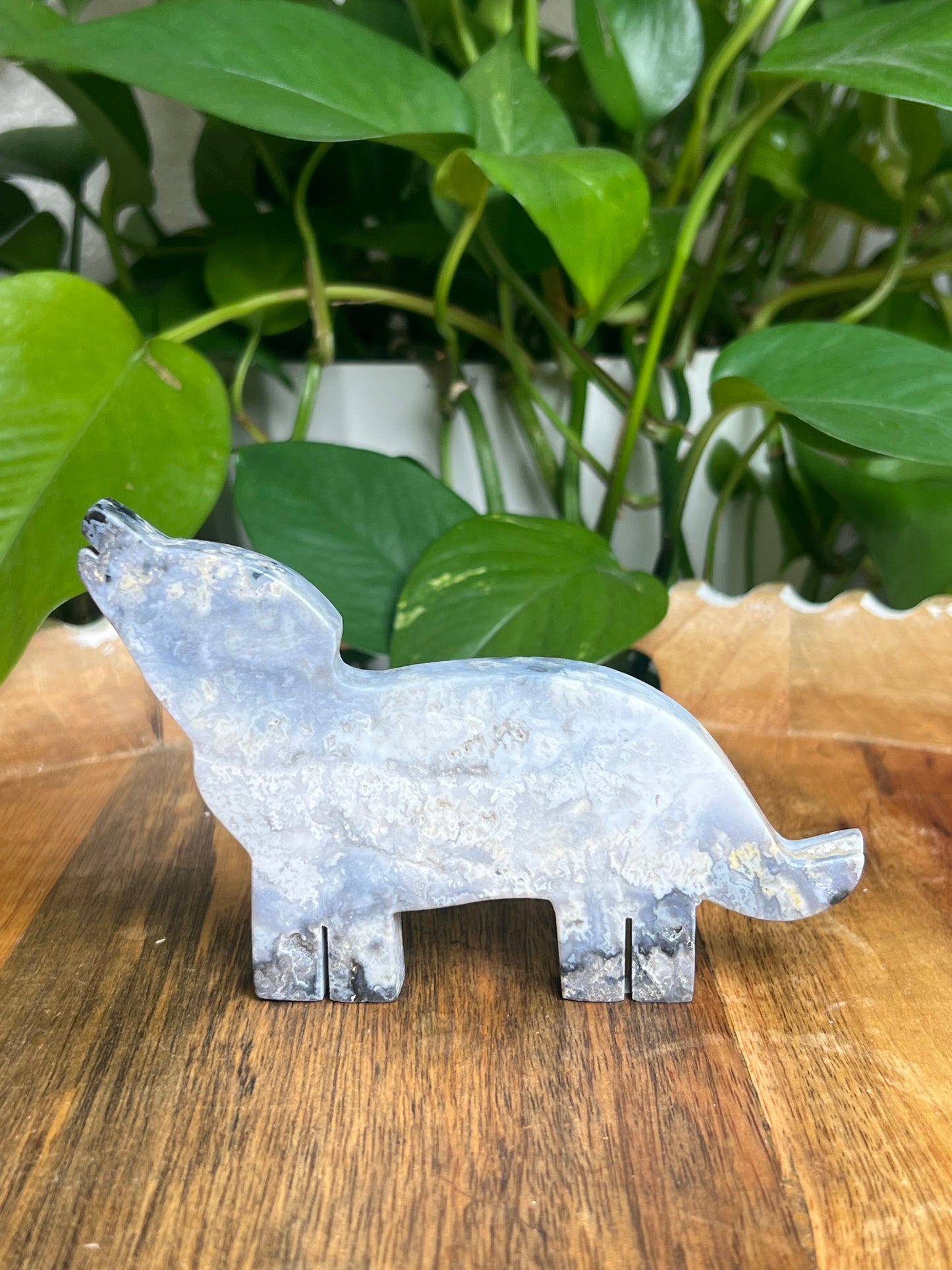 Blue Plume Agate Wolf: F