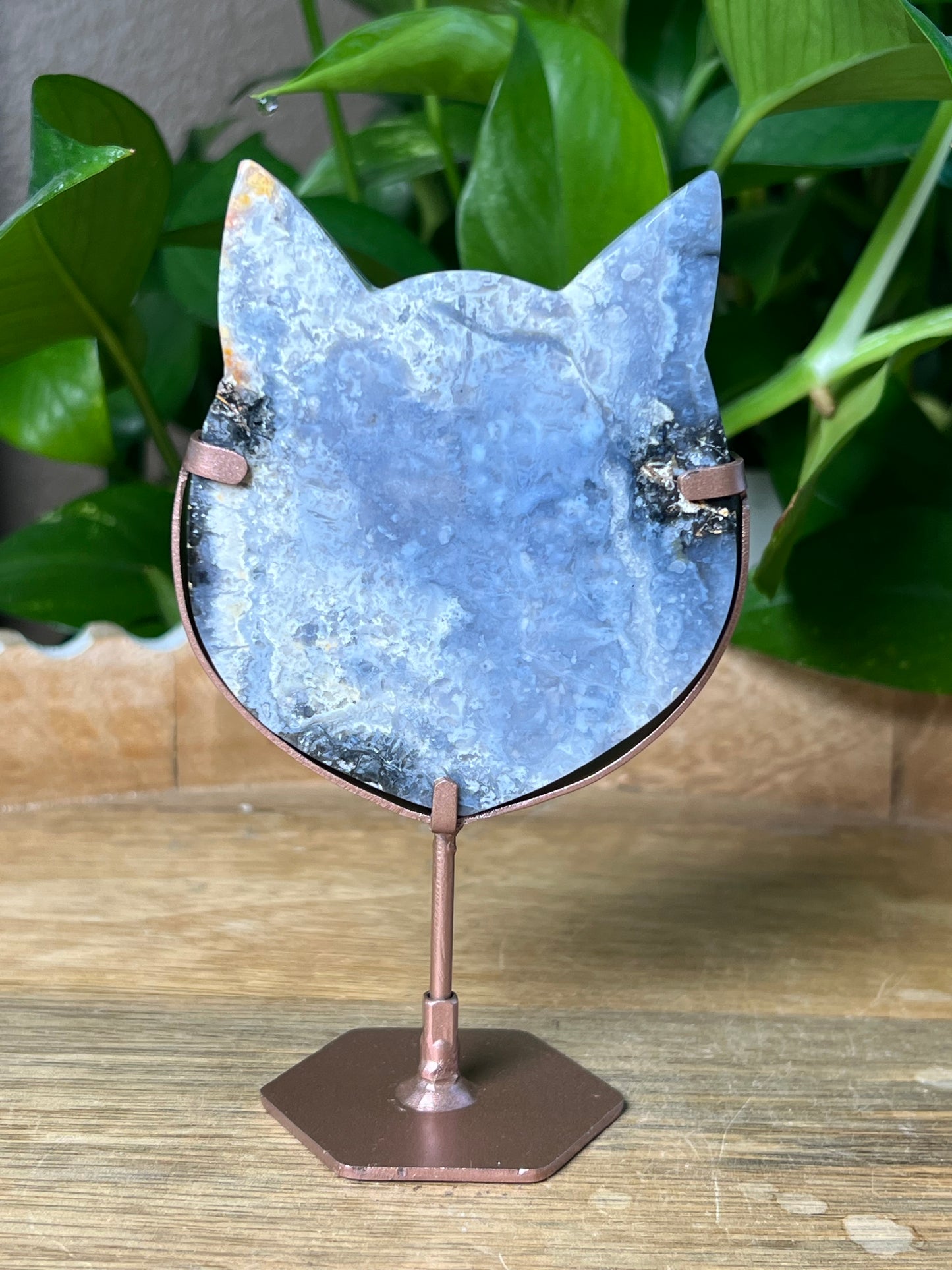 Blue Plume Agate Cat