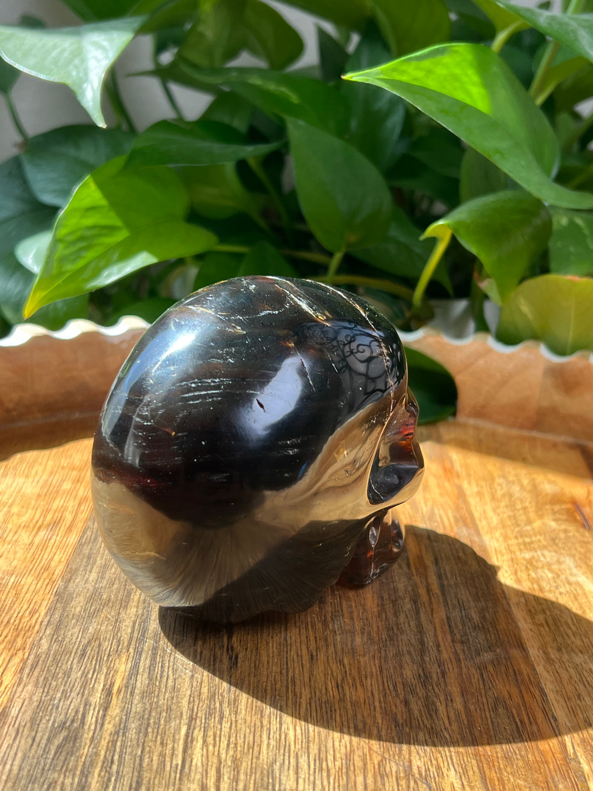 Blue Amber Skull: NB