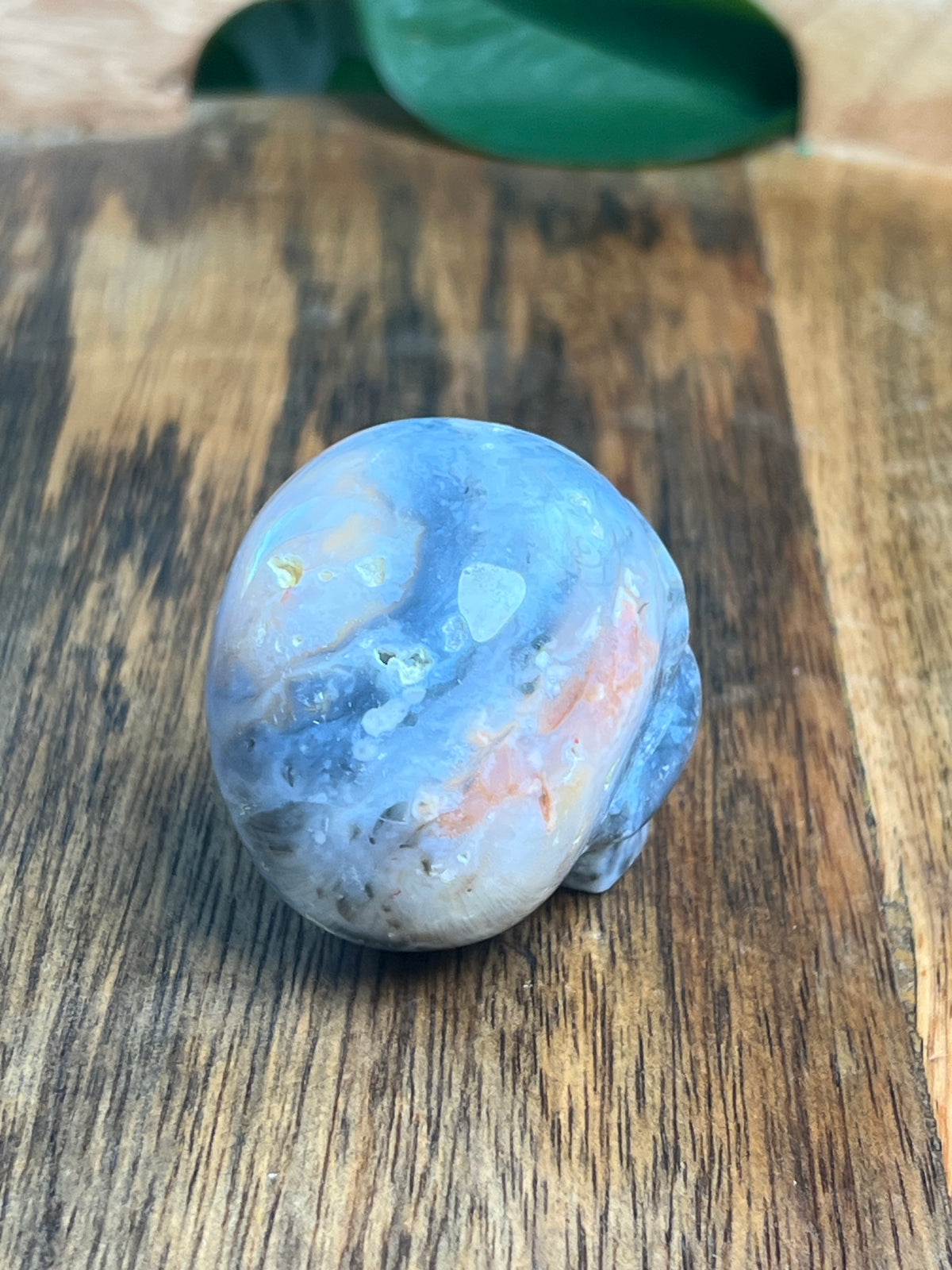 Rainbow Plume Agate Mini Skull: DB