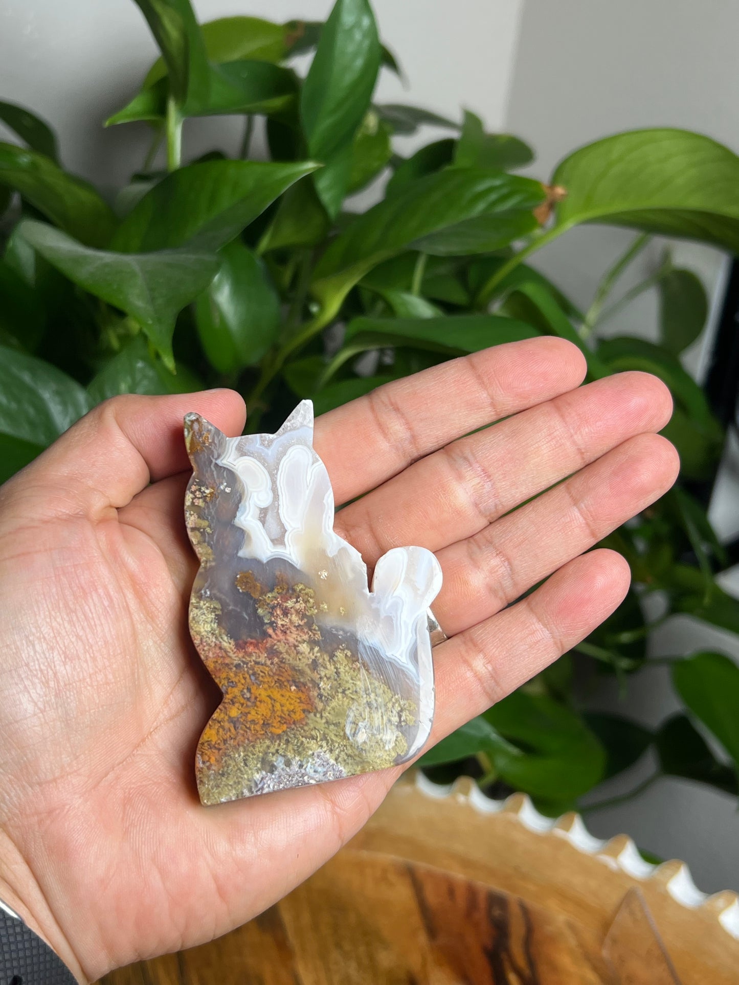 Scenic Moss Agate Cat: HX