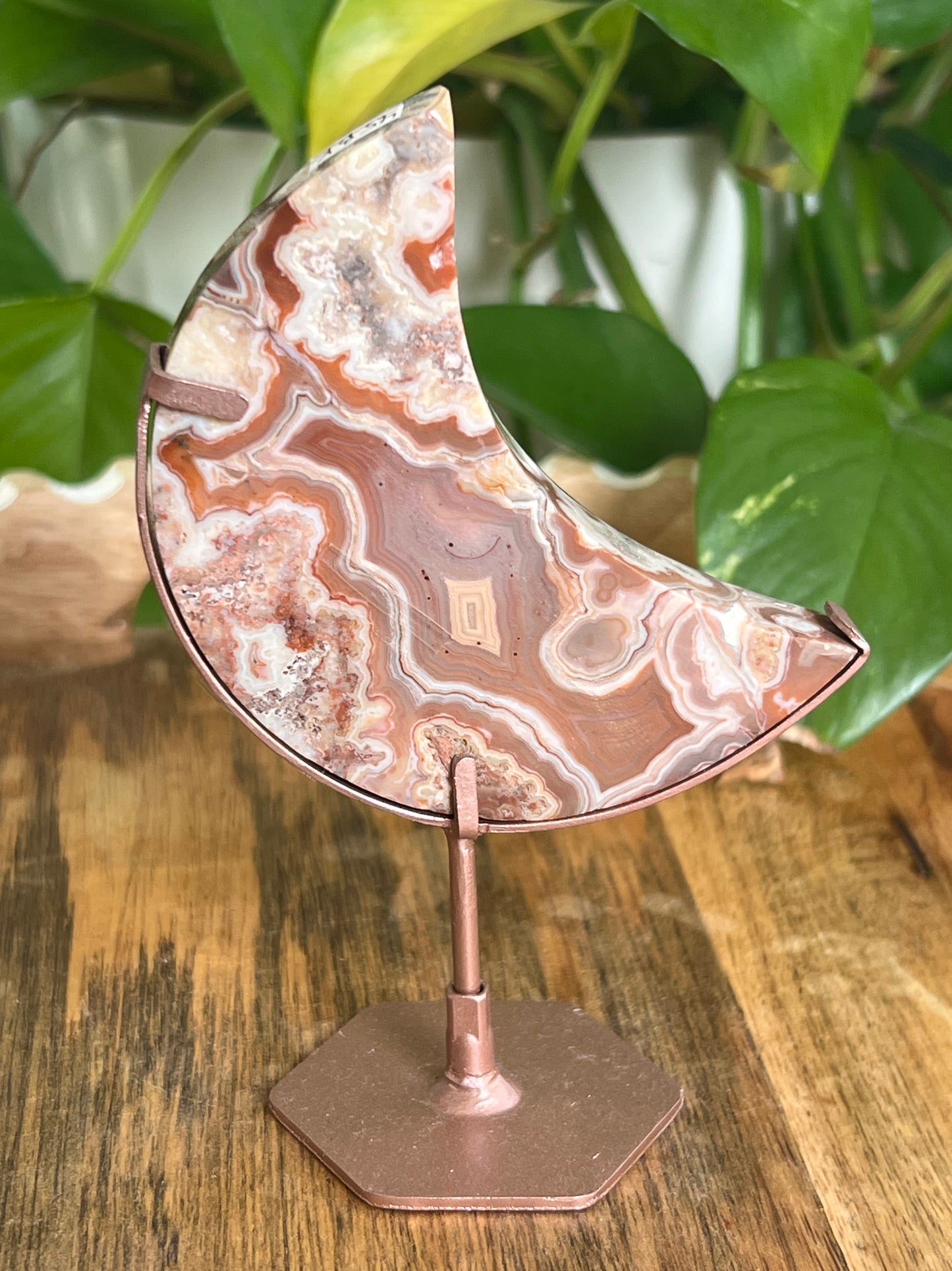 Crazy Lace Agate Moon BK