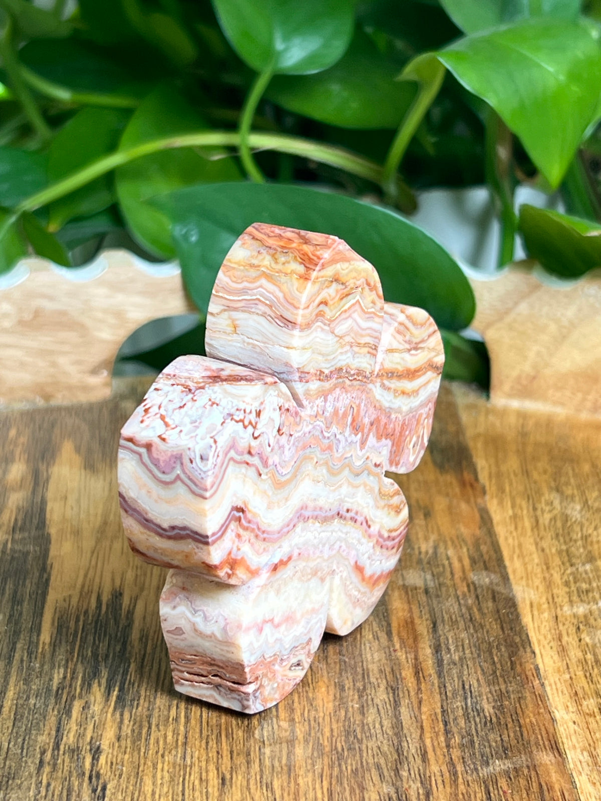 Crazy Lace Agate Flower: CB