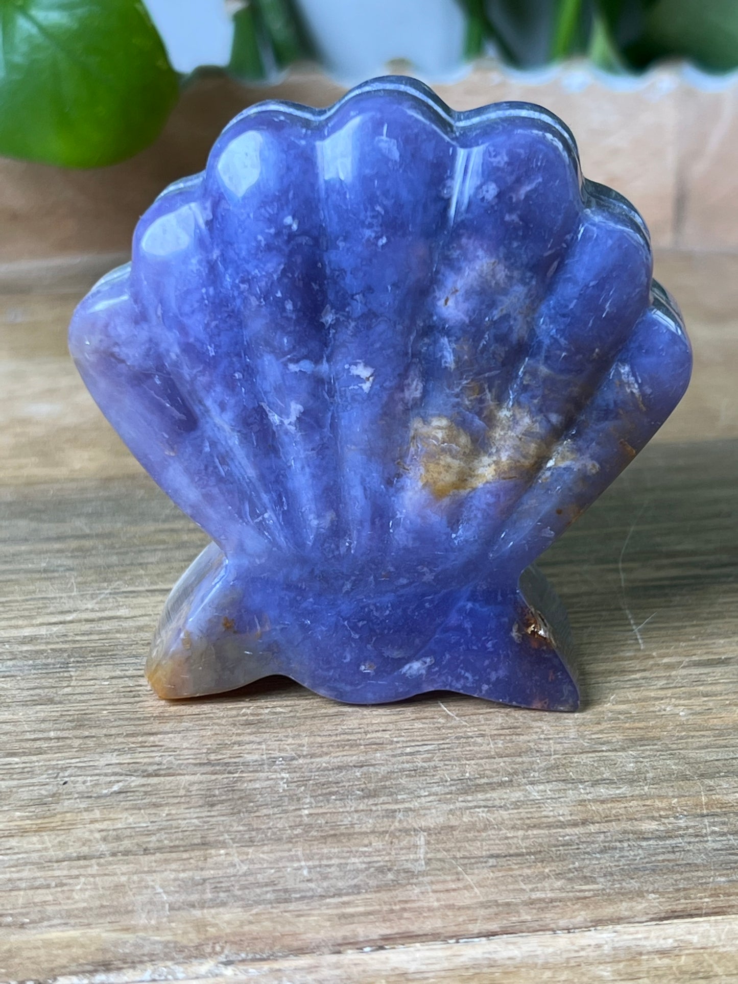 Purple Chalcedony Shell