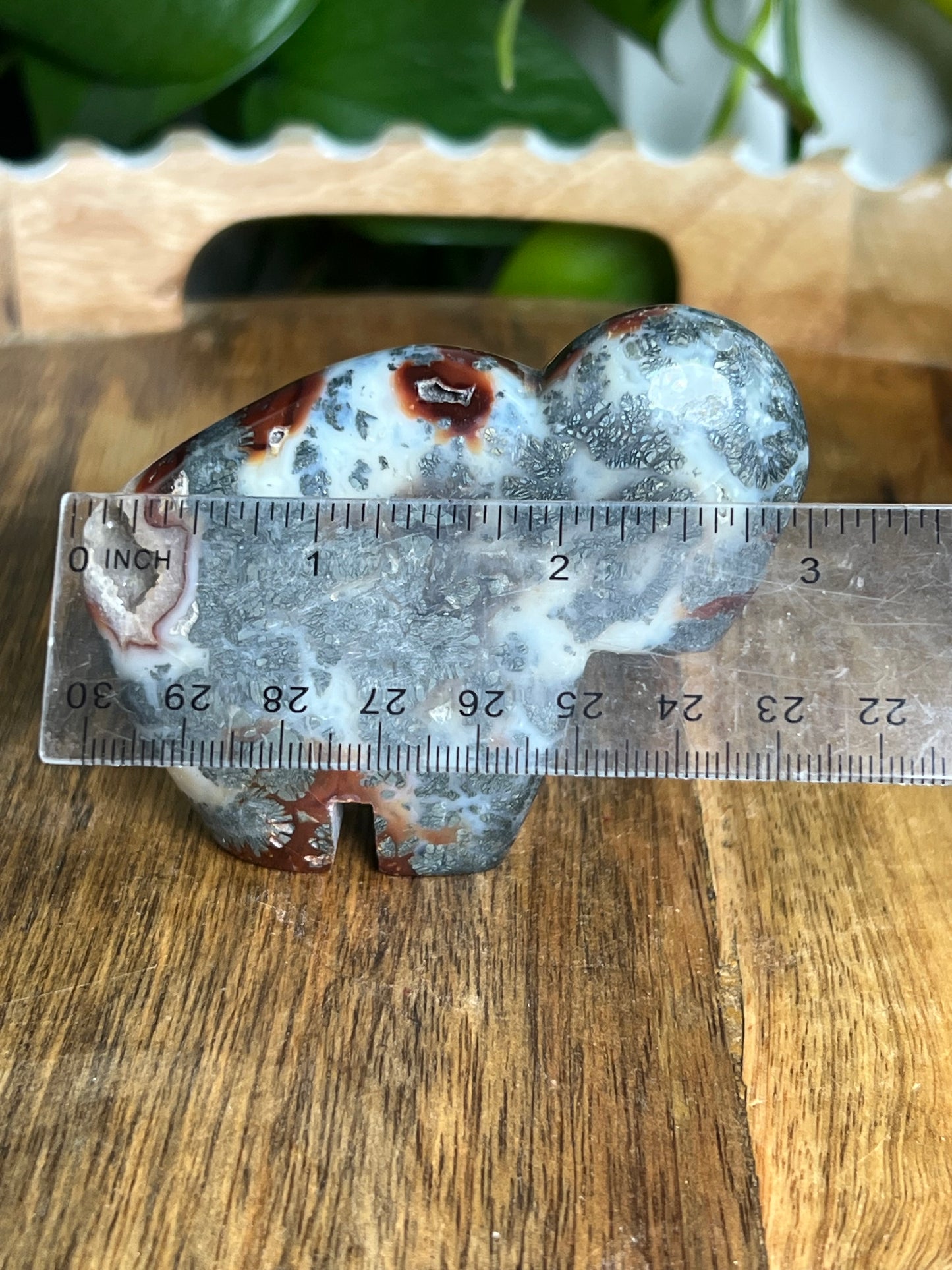 Marcasite Buffalo