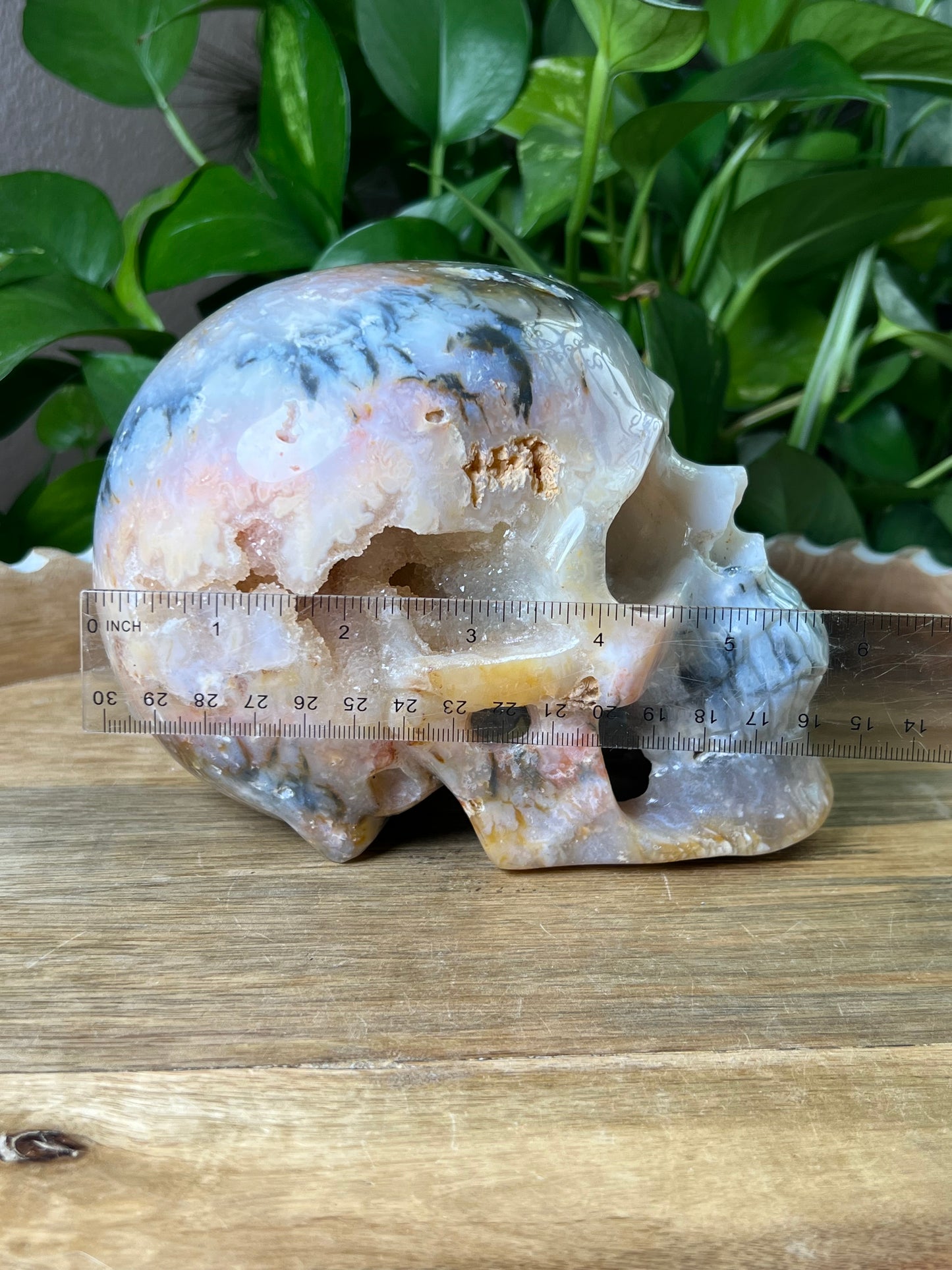 Rainbow Plume Agate Skull