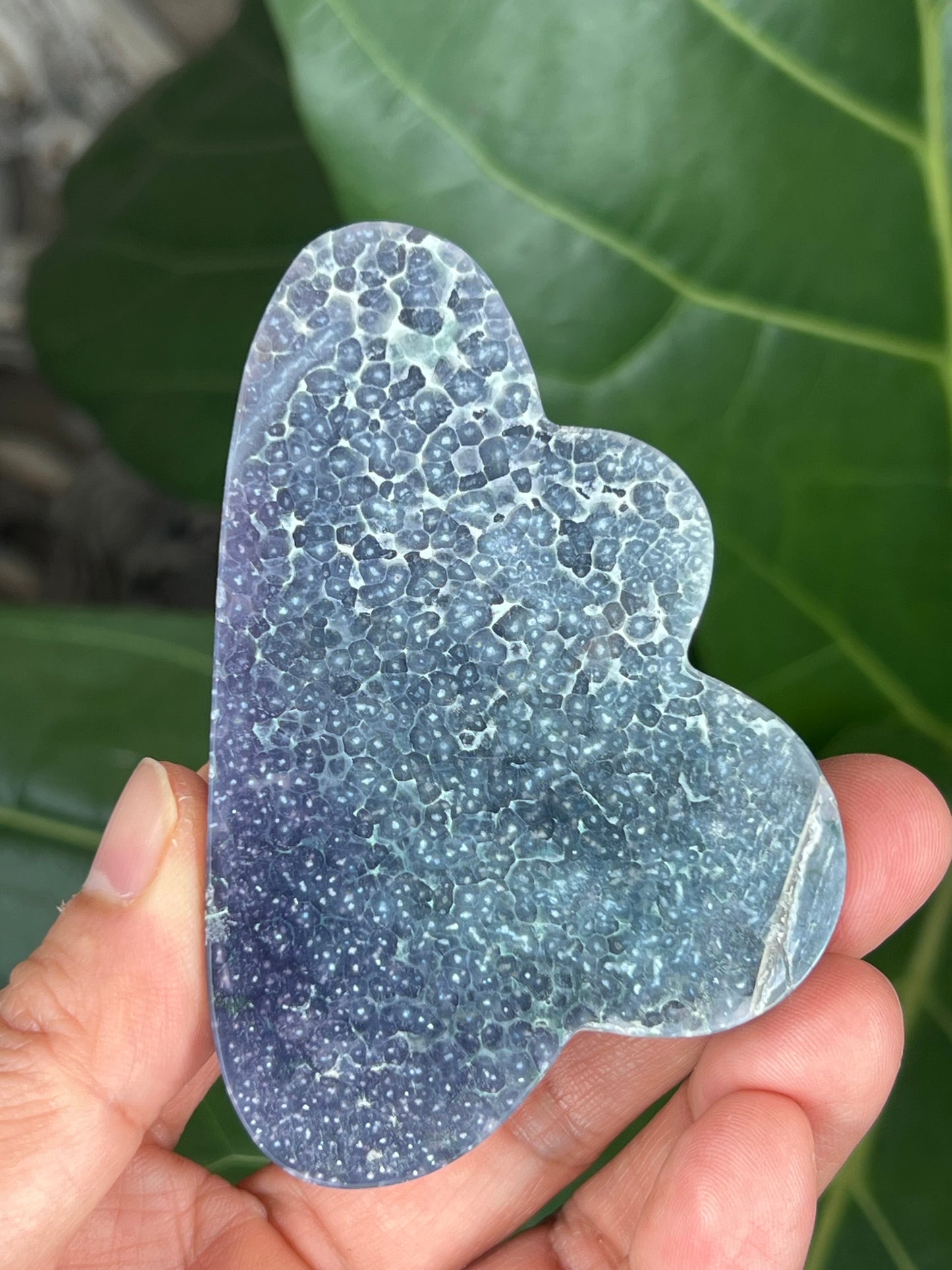Grape Agate Cloud