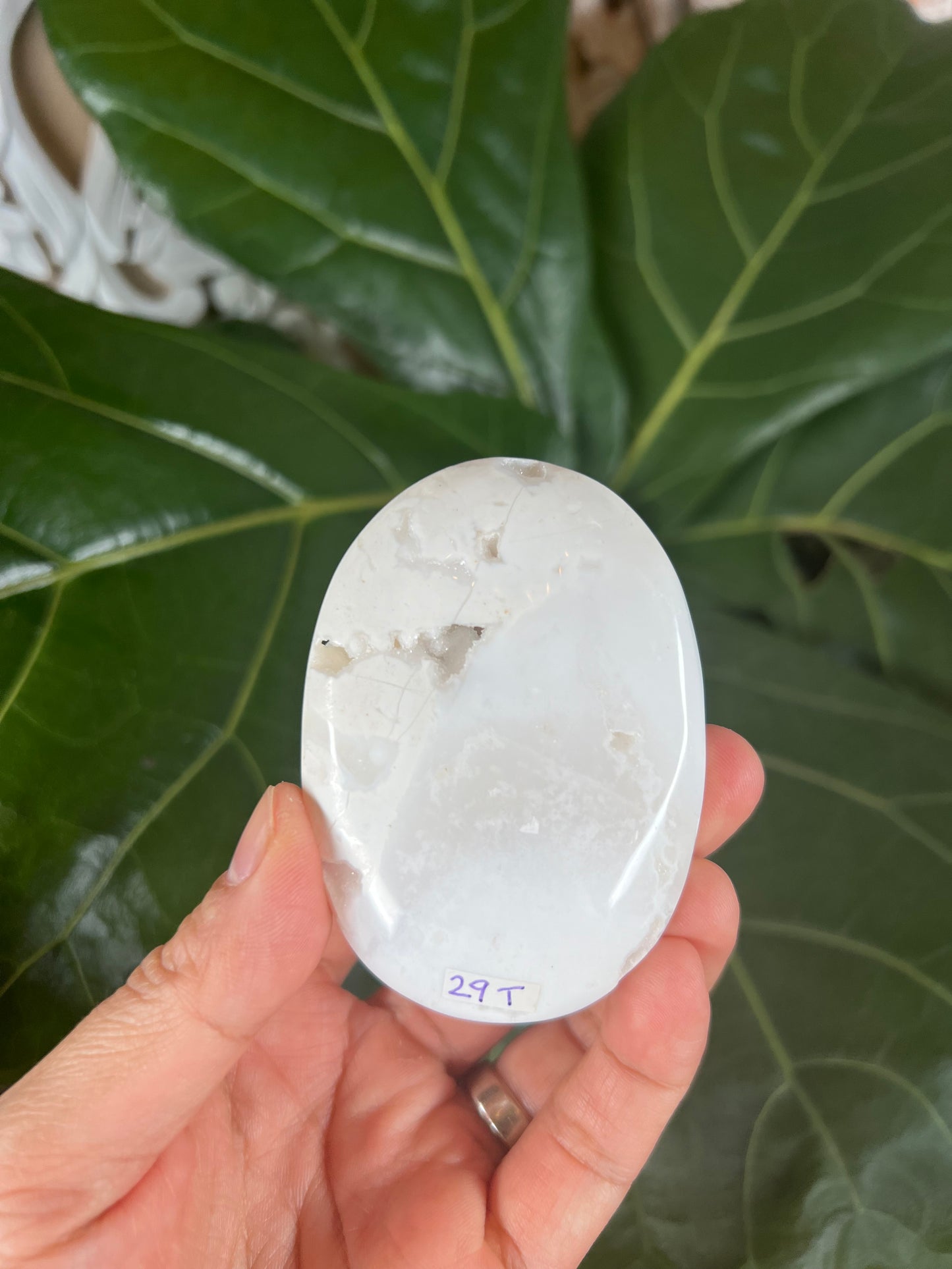 White plume agate Palmstone