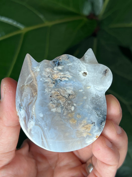 Tiger Dendritic Agate Cat