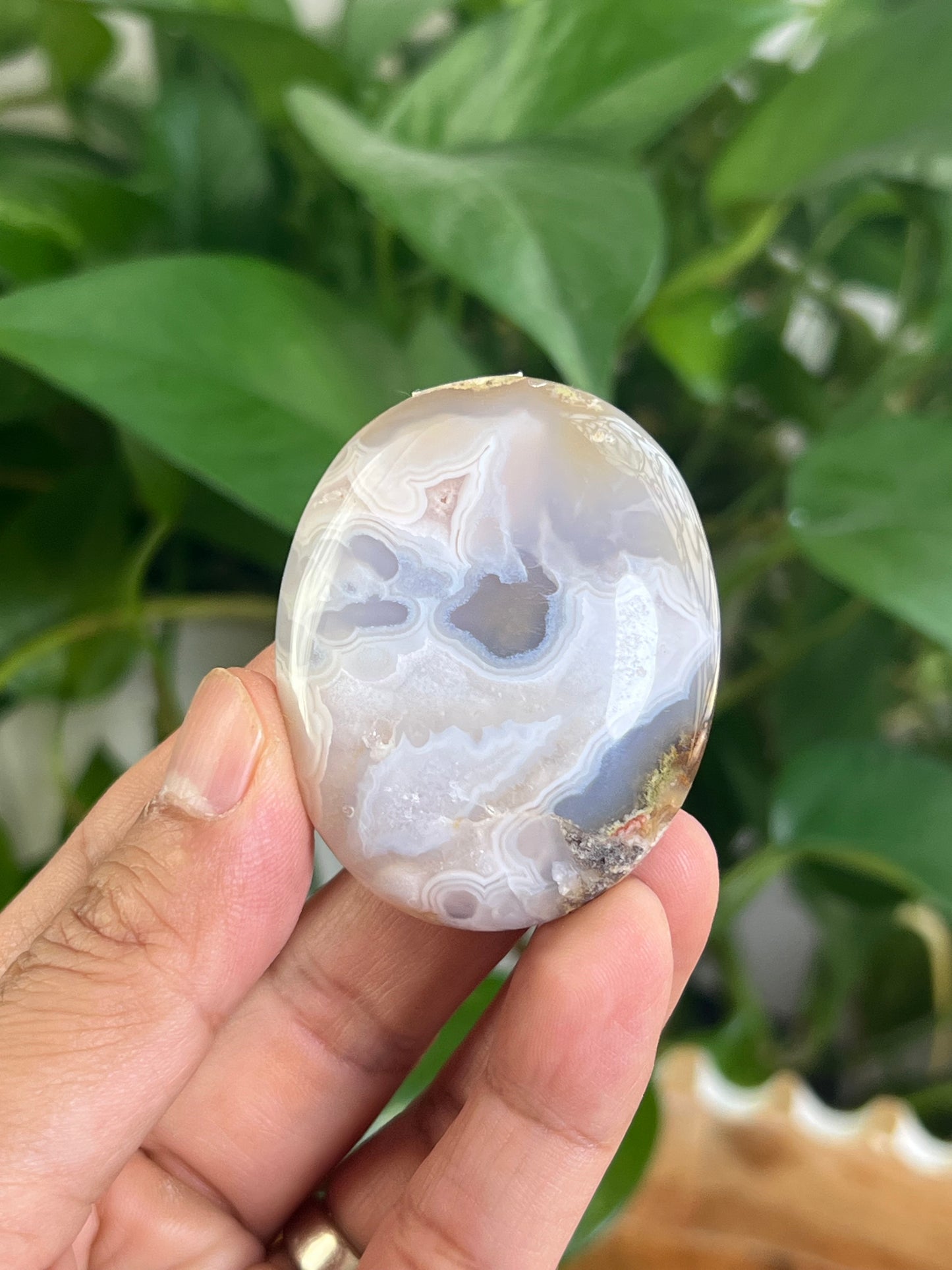 Scenic Moss Agate Palmstone: DC