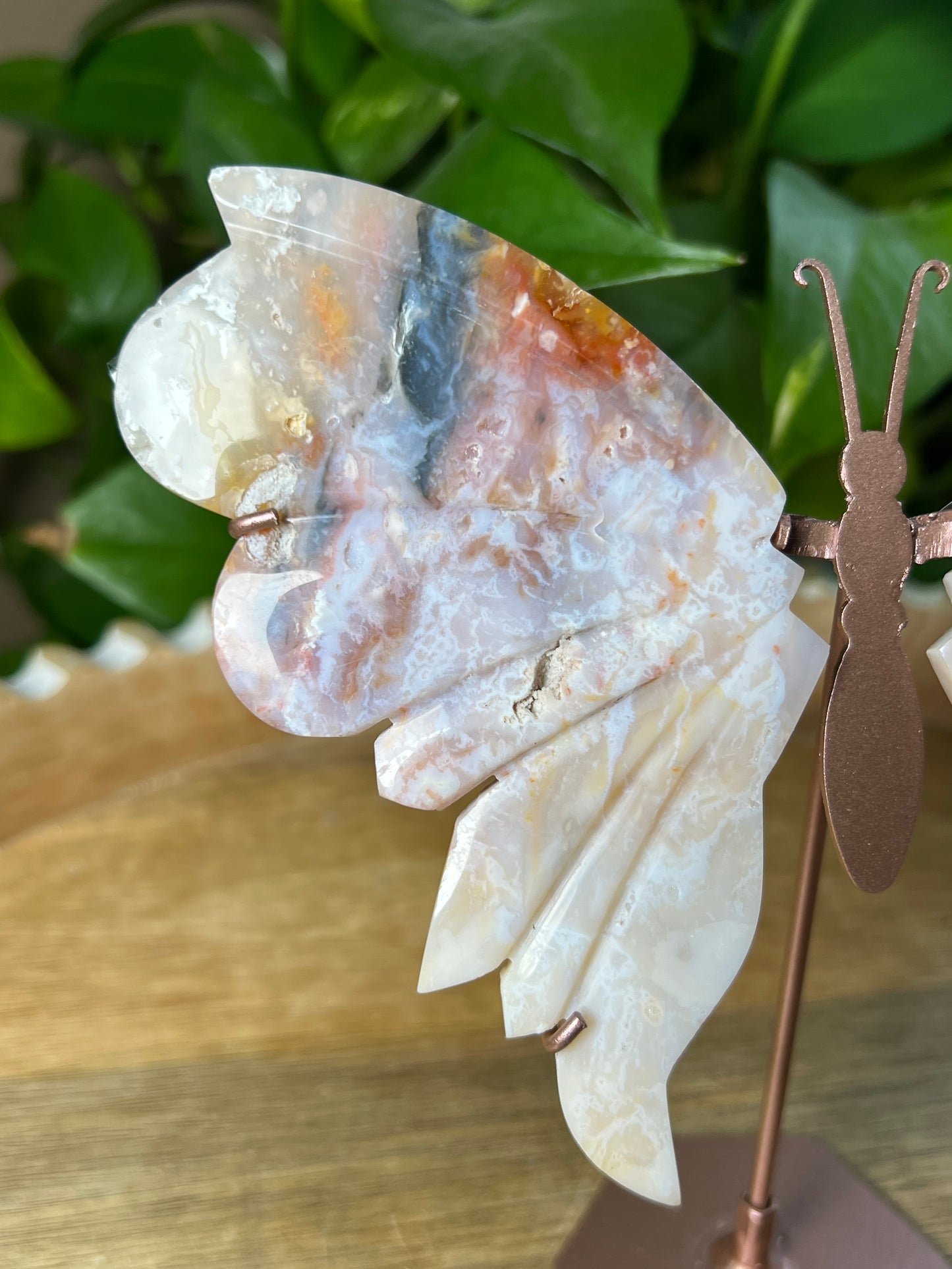 Rainbow Plume Agate Wings