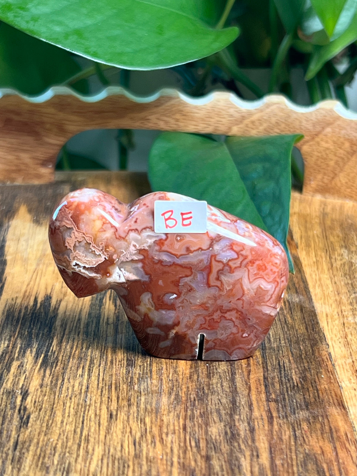 Carnelian Mini Buffalos