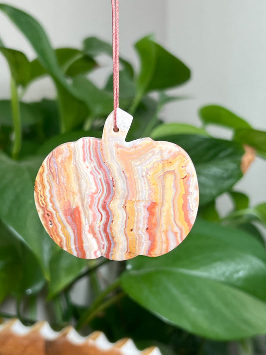 Crazy Lace Agate Ornament Pumpkin: PS