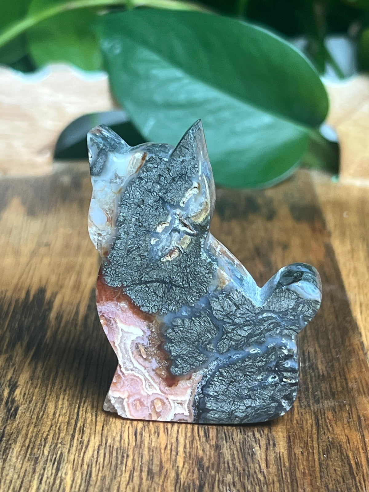 Marcasite Mini Cat: XC