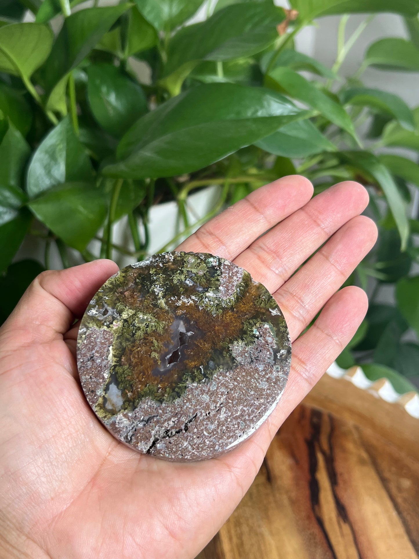 Scenic Moss Agate Coaster: AN