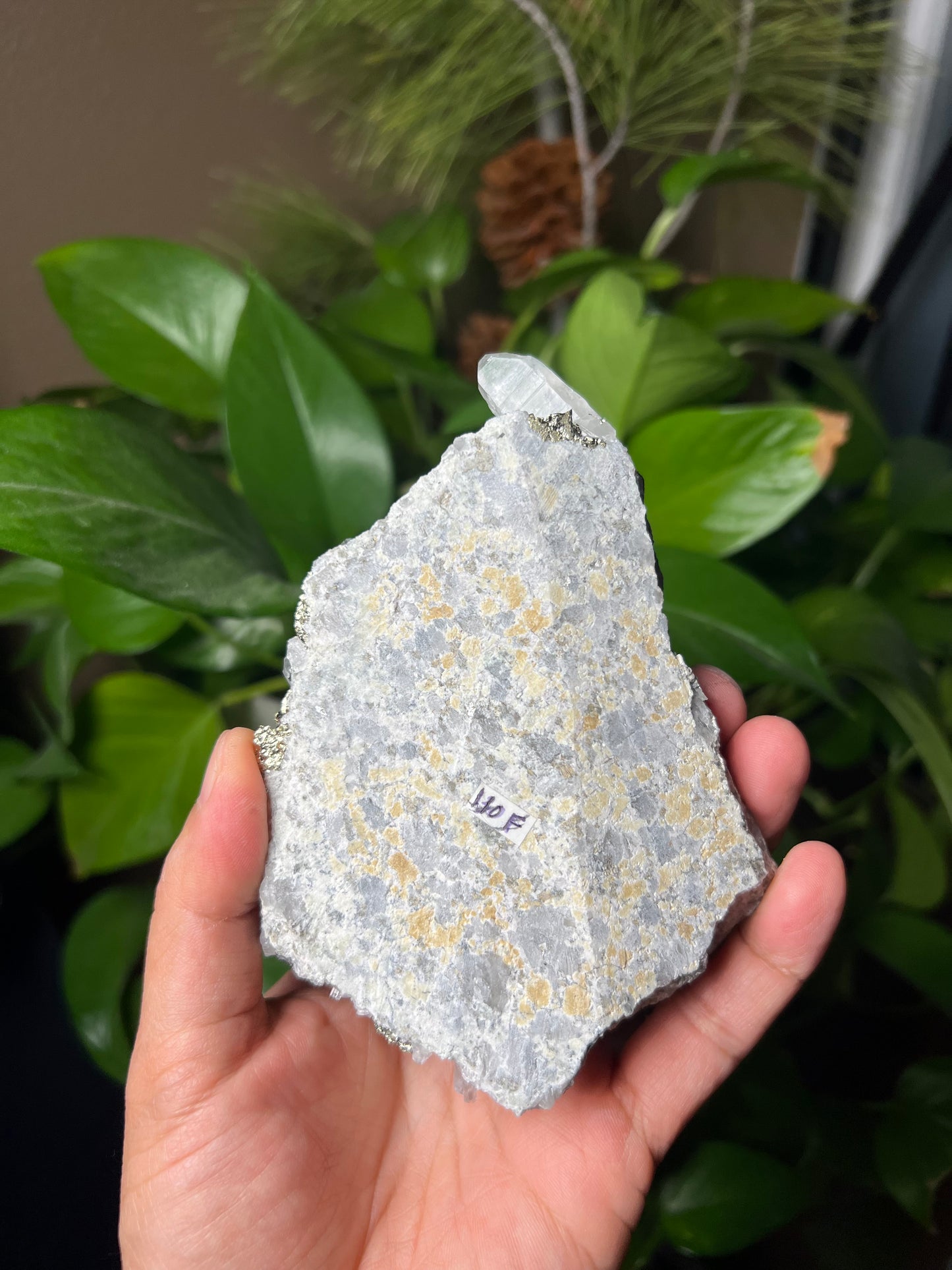 Rainbow Pyrite Quartz