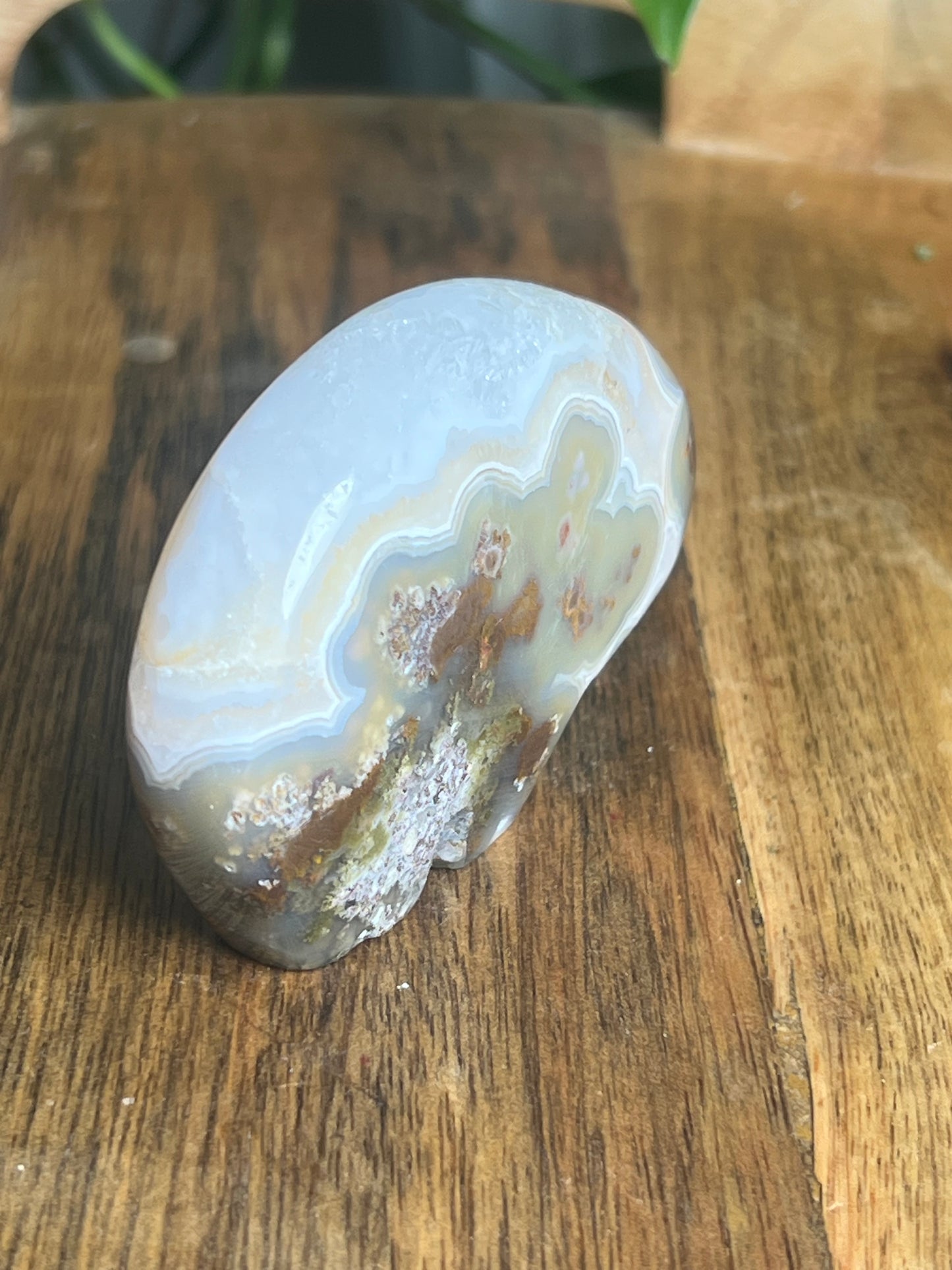 Scenic Moss Agate Bear NS
