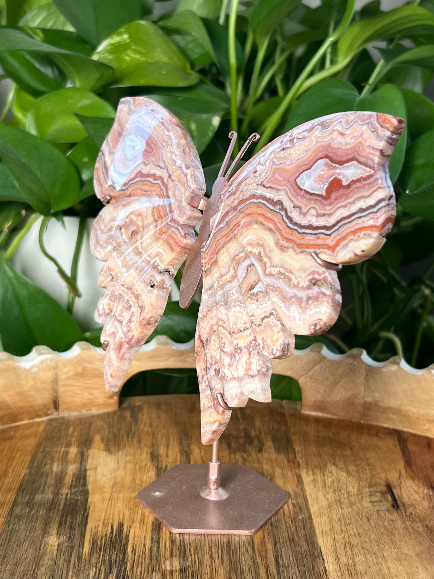 Crazy Lace Agate Wings