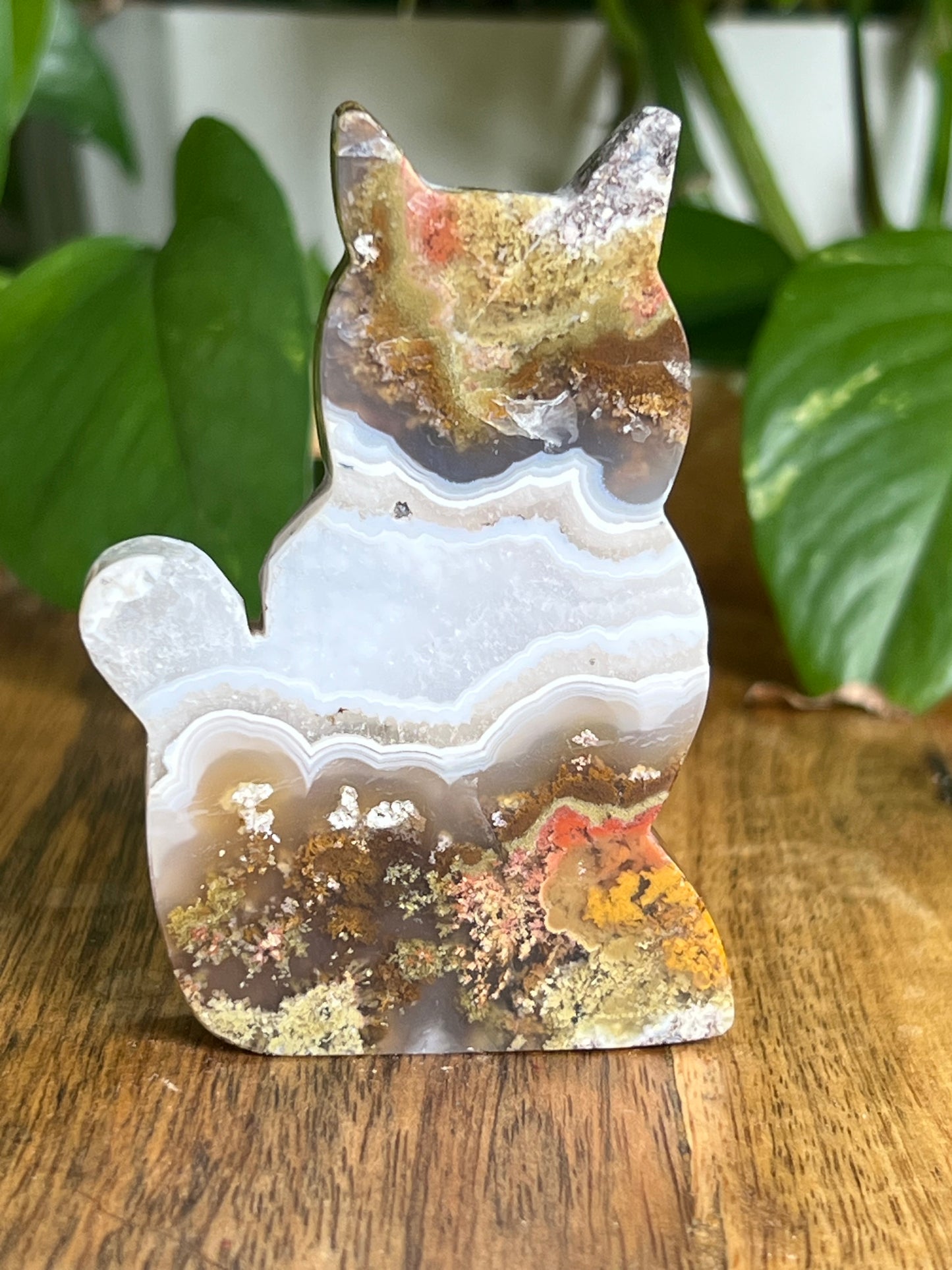 Scenic Moss Agate Cat HA