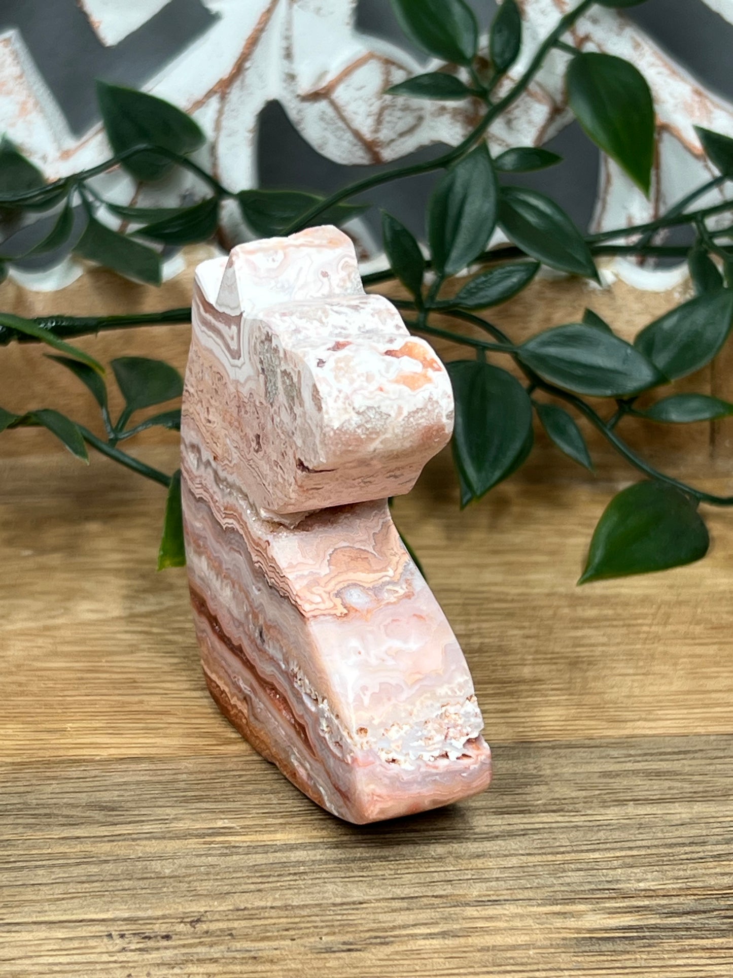 Pink Crazy Lace Agate Unicorn