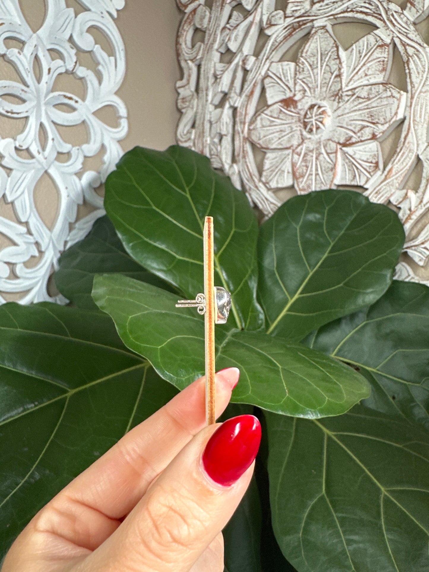Colombian Campo Del Cielo Meteorite Stud Earrings ￼