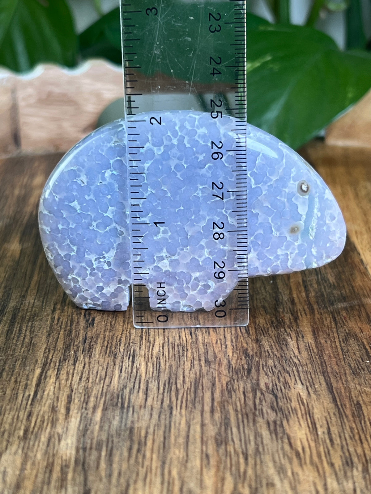Grape Agate Bear: LM