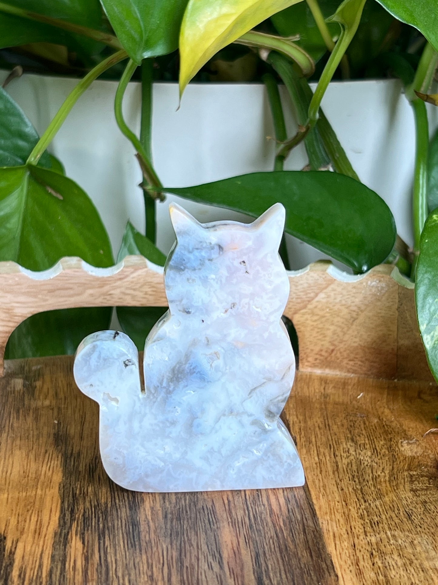Rainbow Plume Agate Cat B