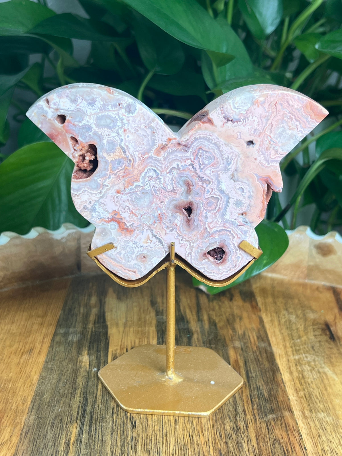 Crazy Lace Agate Butterfly: XE