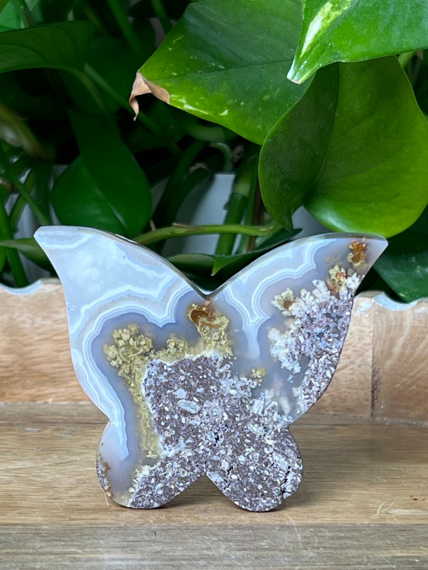 Scenic Moss Agate Butterfly