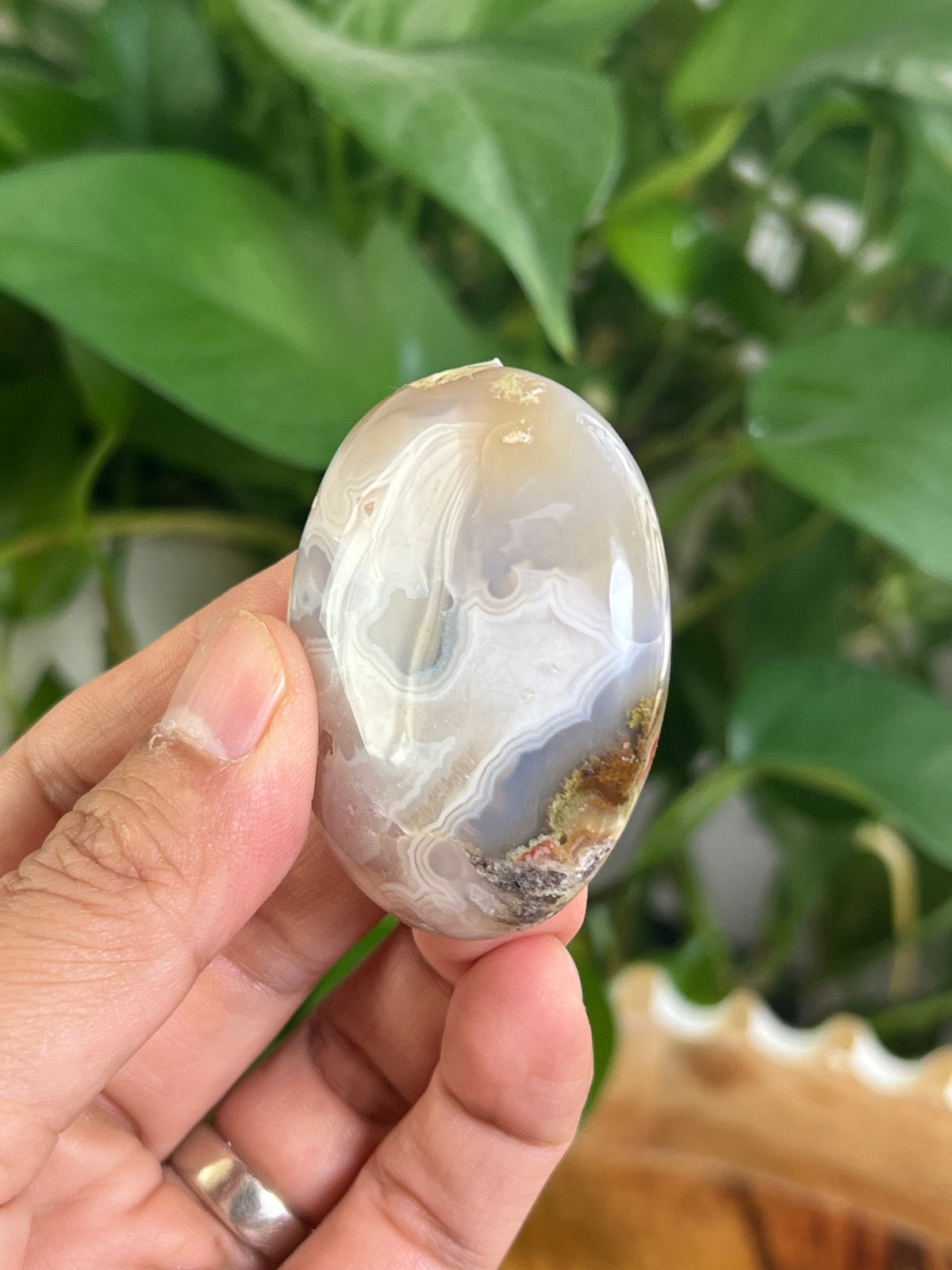 Scenic Moss Agate Palmstone: DC