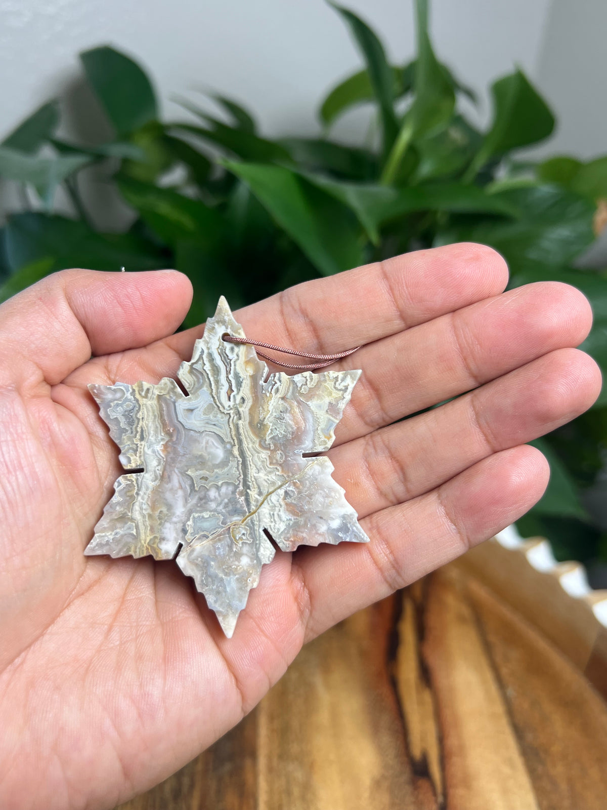 Sumatra Plume Agate Snowflake: PH