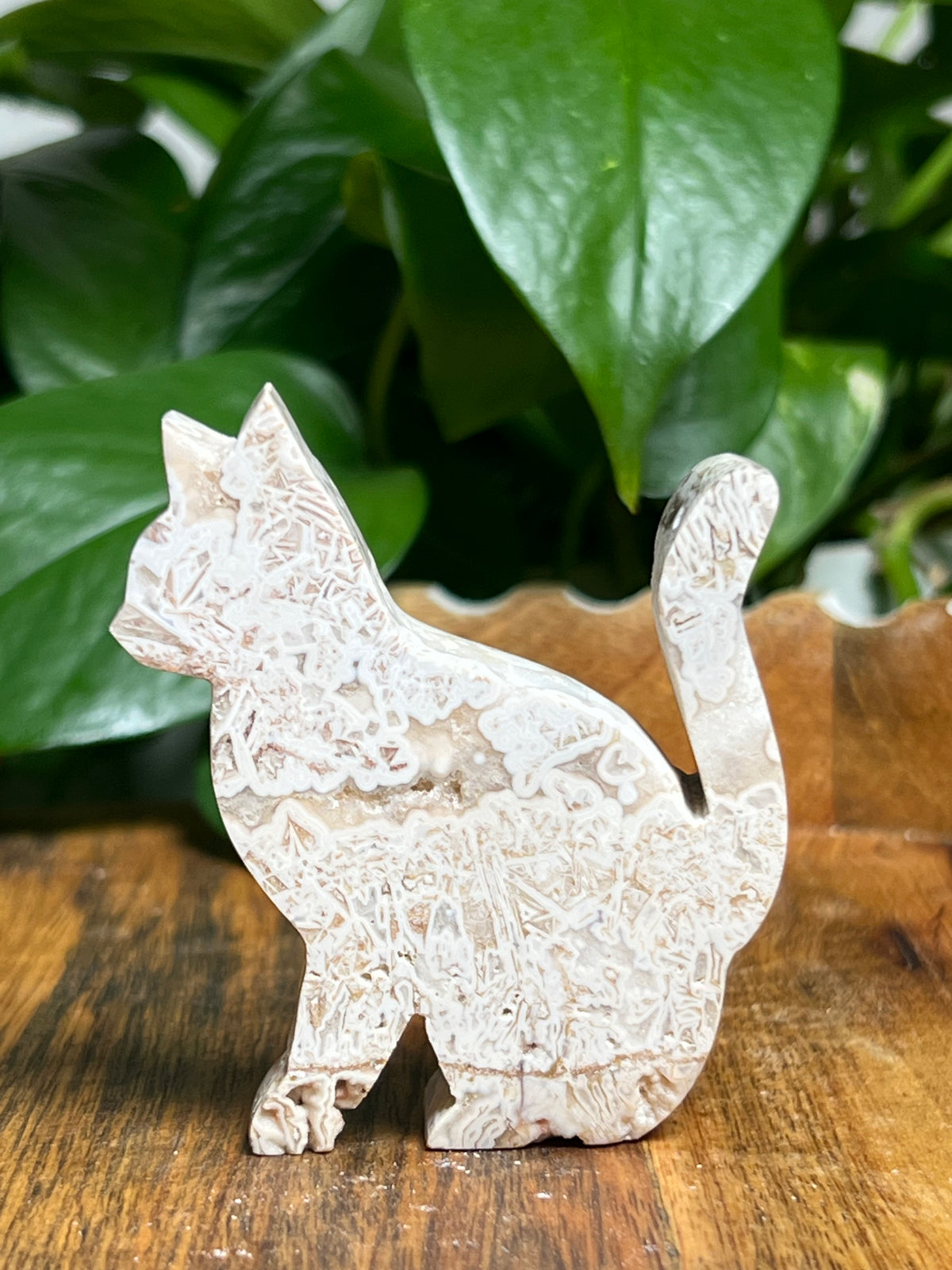 Tube Agate Cats