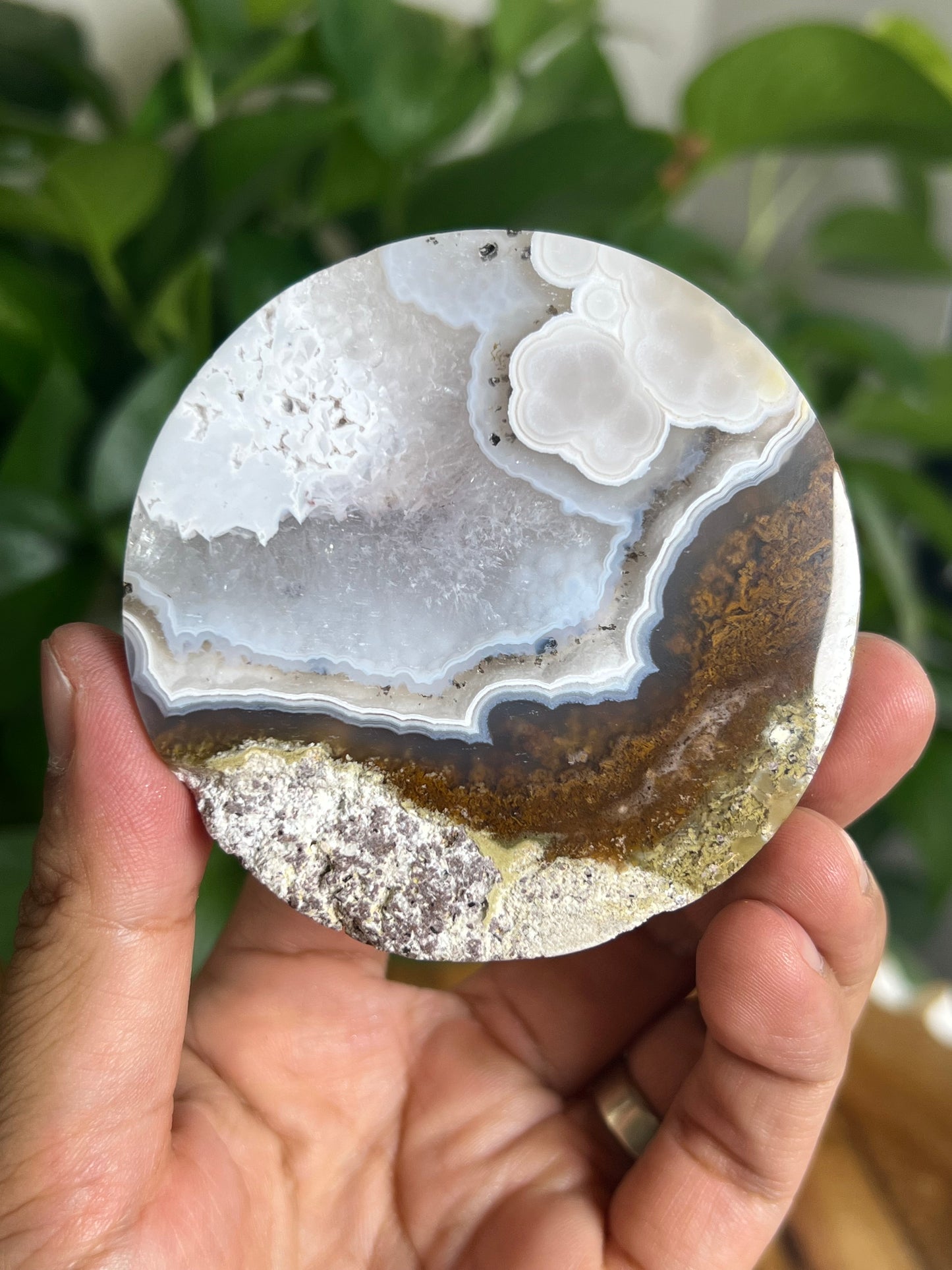 Scenic Moss Agate Coaster: KE