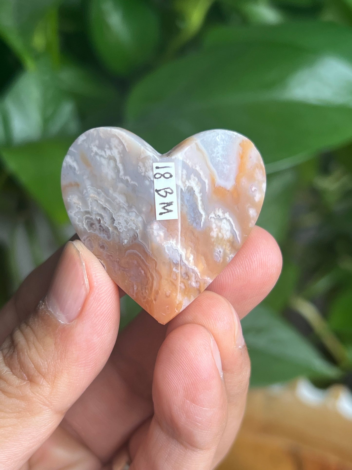 Flower Carnelian 3D Butterfly Heart: BM