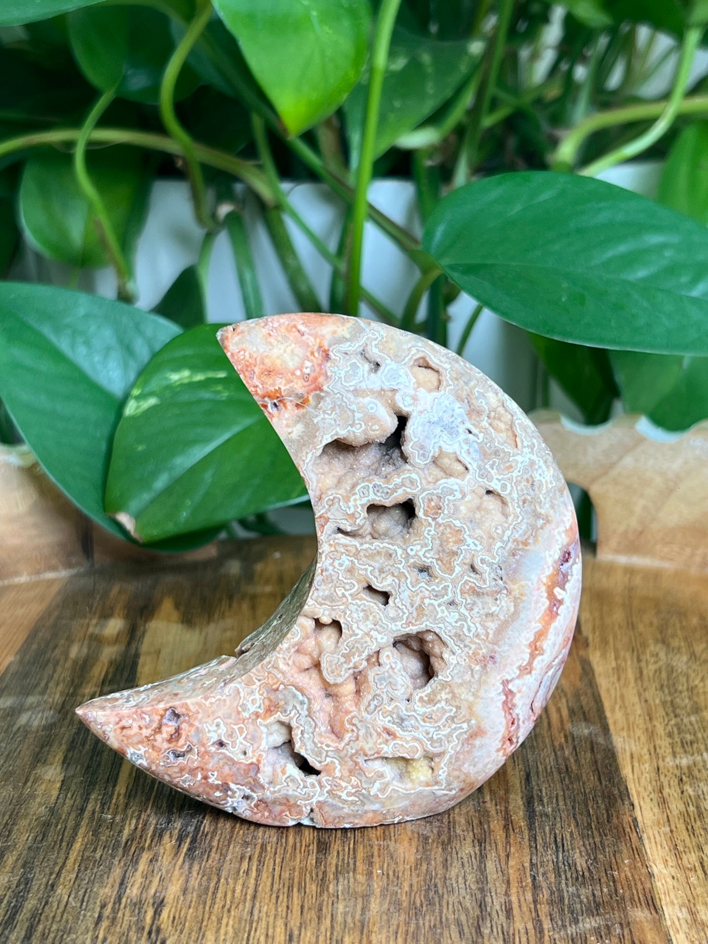 Crazy Lace Agate Self-Standing Moon: MC