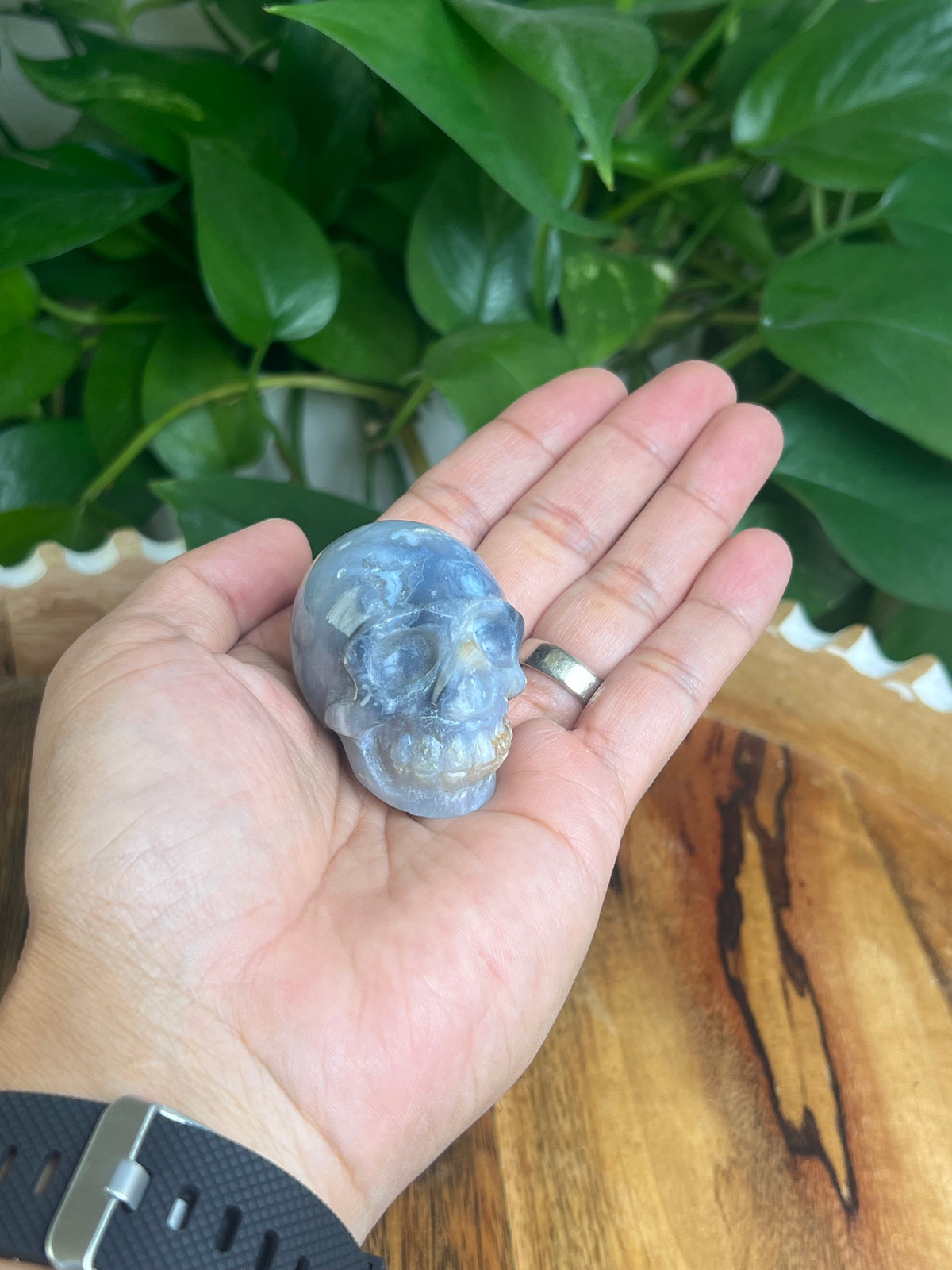 Blue Plume Agate Skull: H