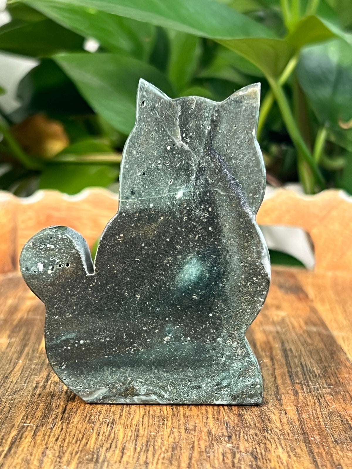 Blue Green Jasper Cats