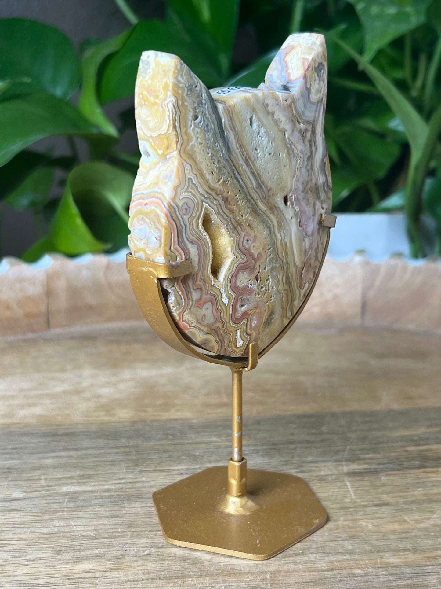 Crazy Lace Agate Cat